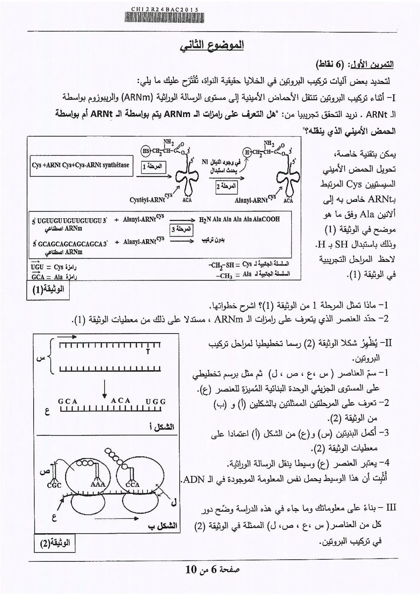الصفحة 6 من 10