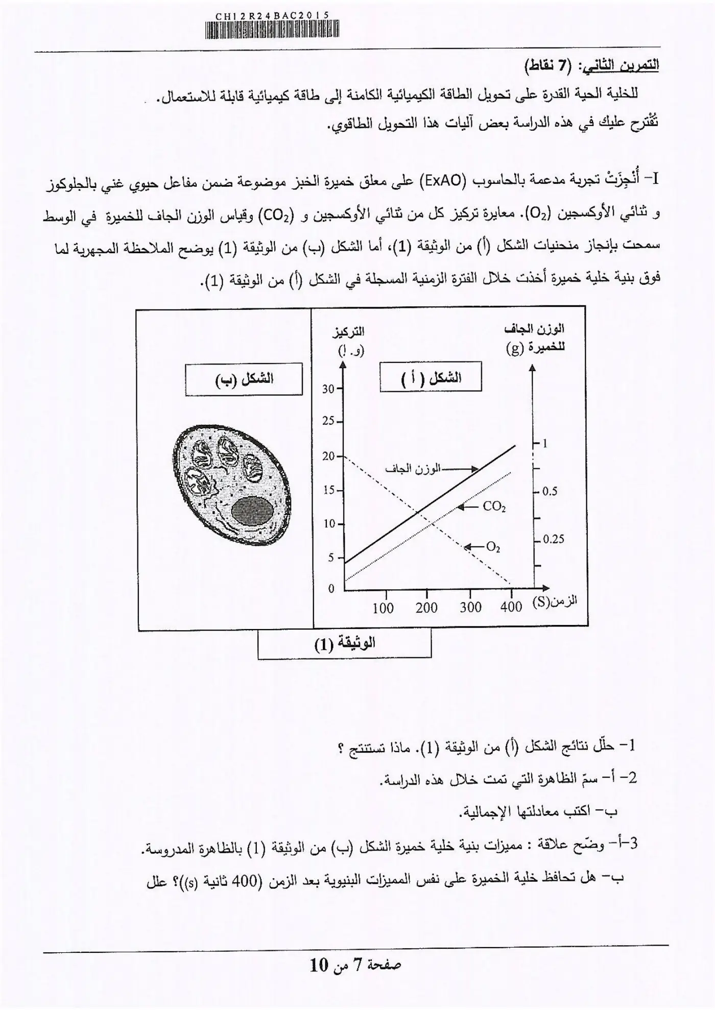 الصفحة 7 من 10