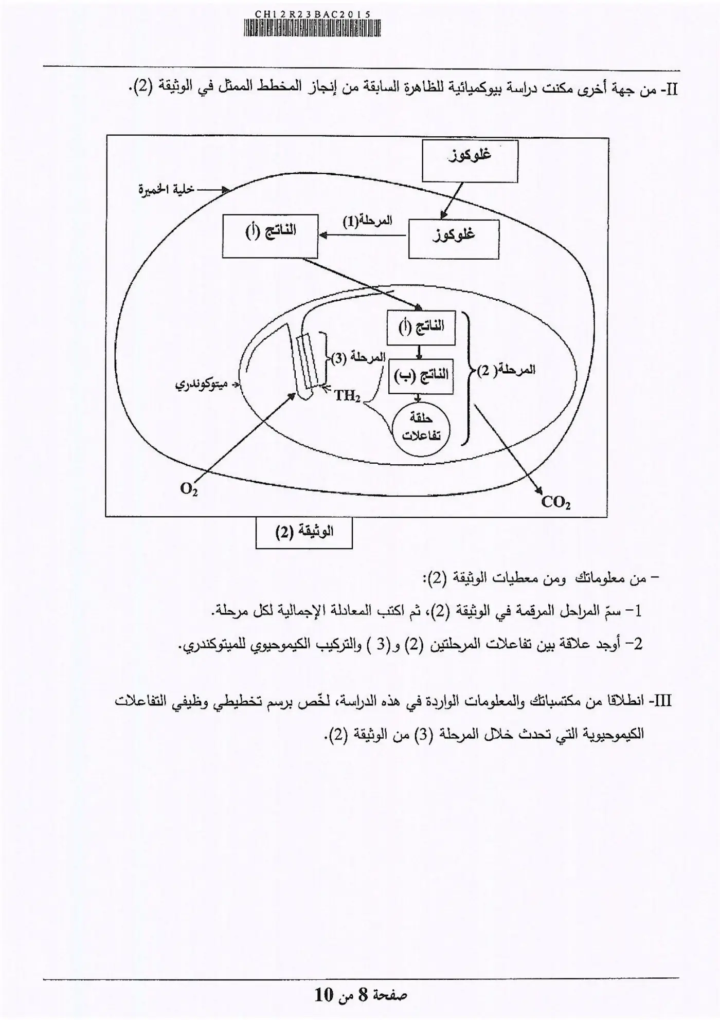 الصفحة 8 من 10