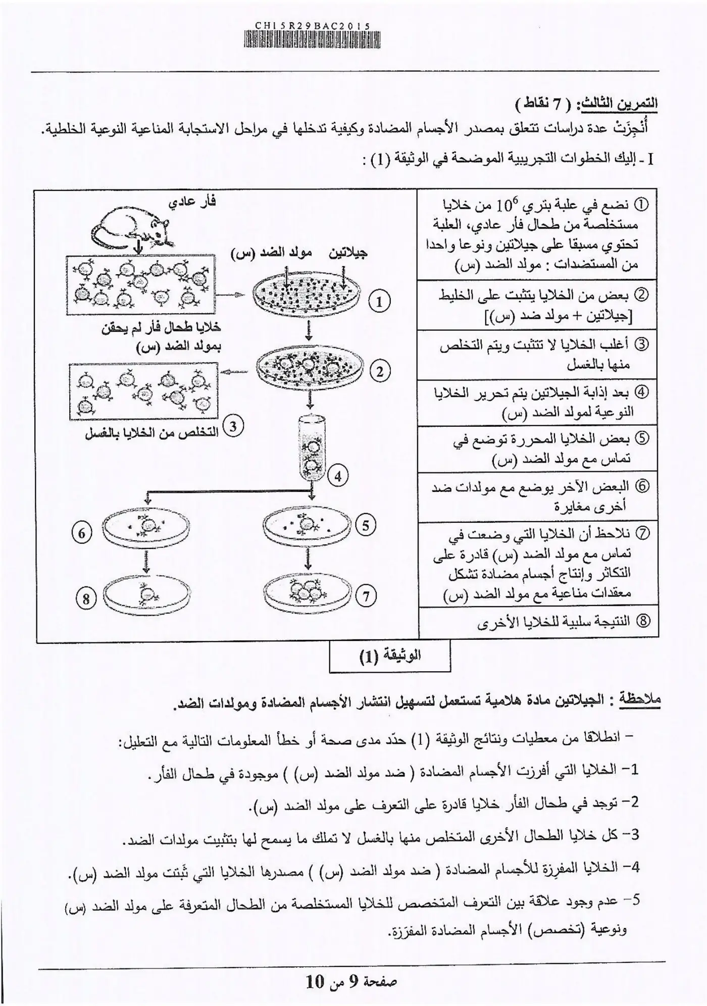 الصفحة 9 من 10