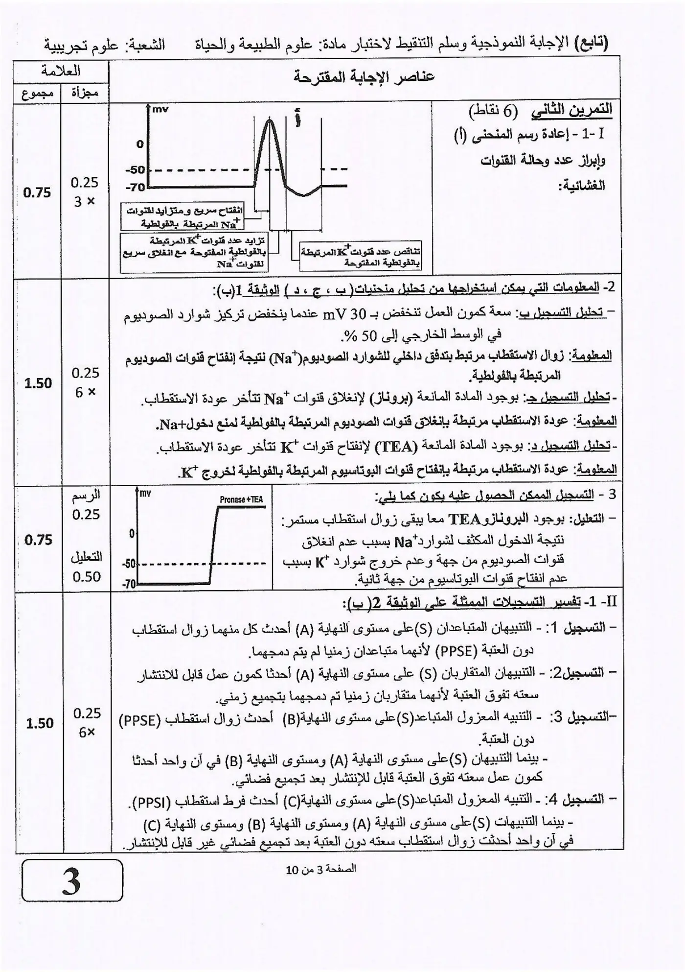 الصفحة 3 من 10