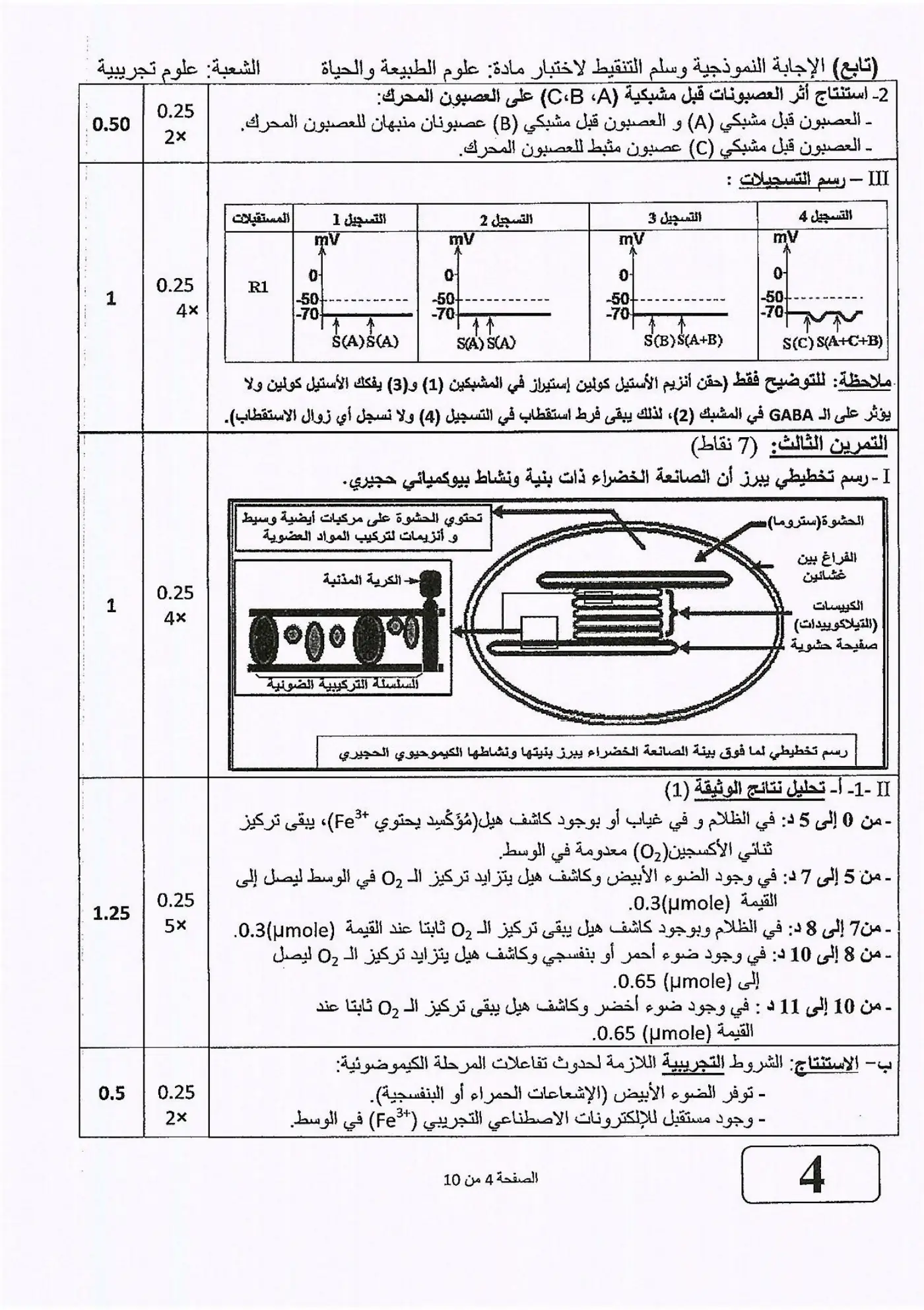 الصفحة 4 من 10