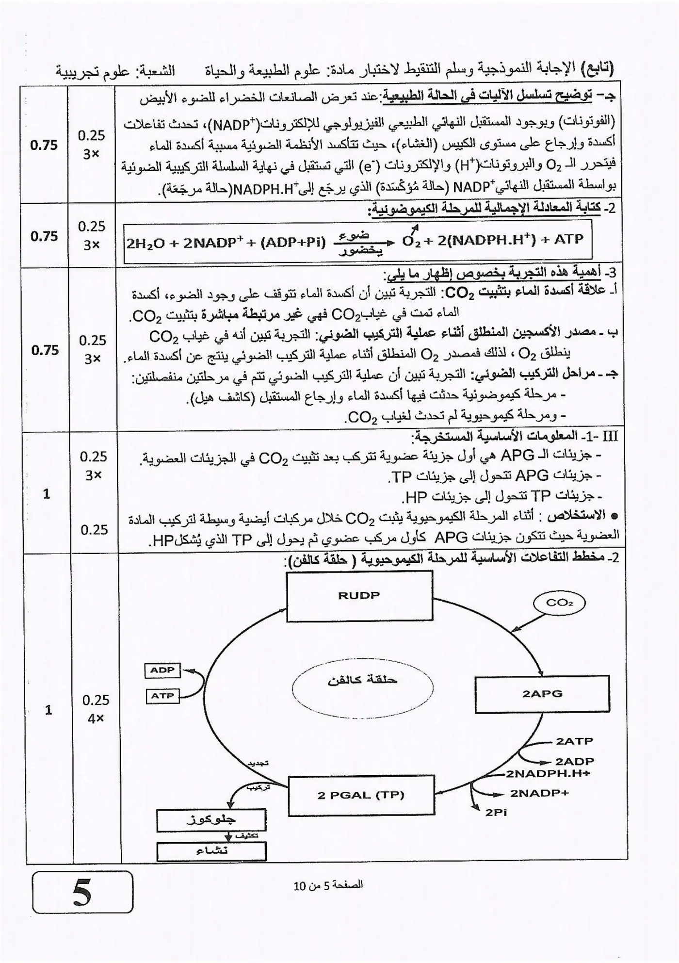الصفحة 5 من 10
