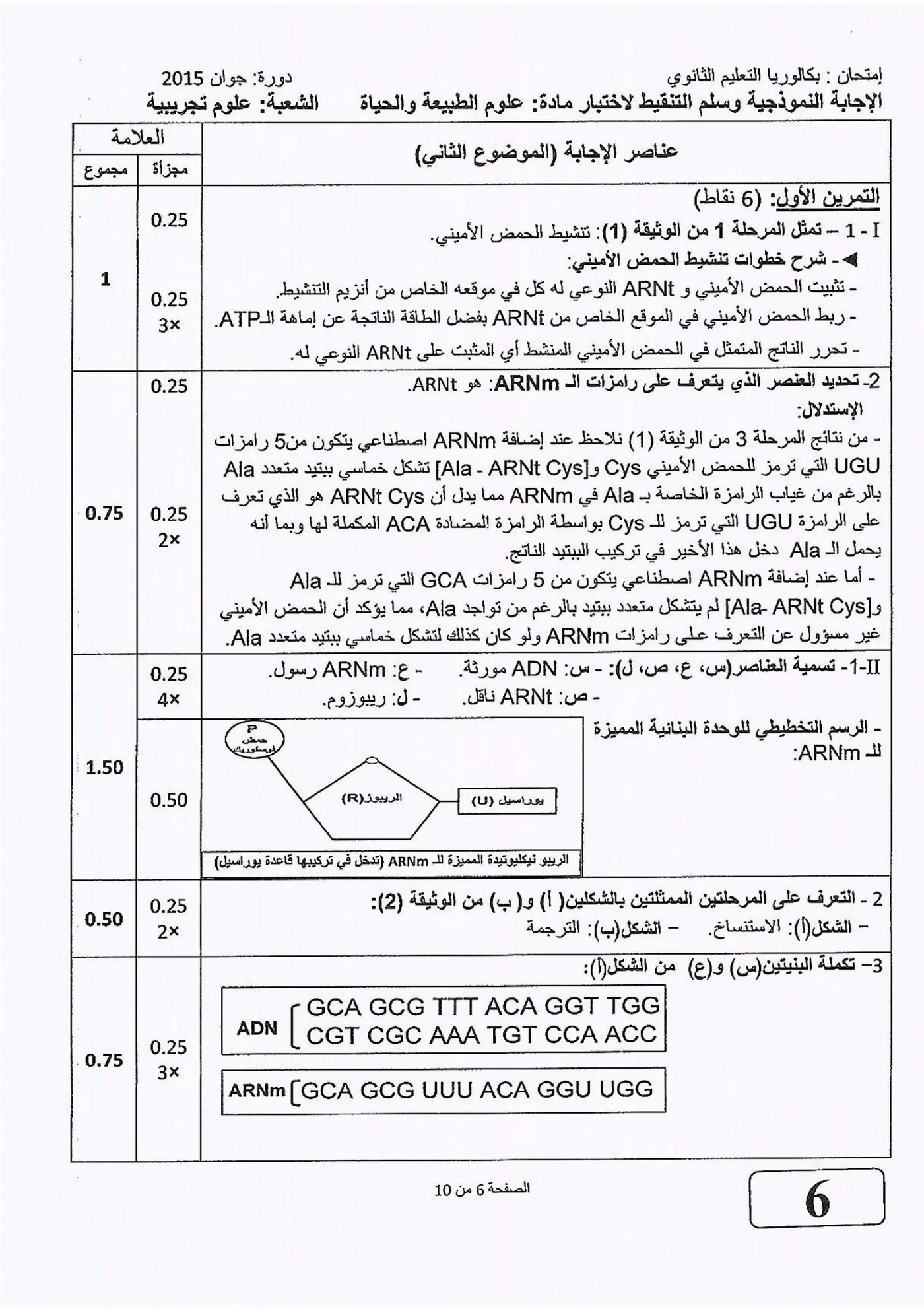الصفحة 6 من 10