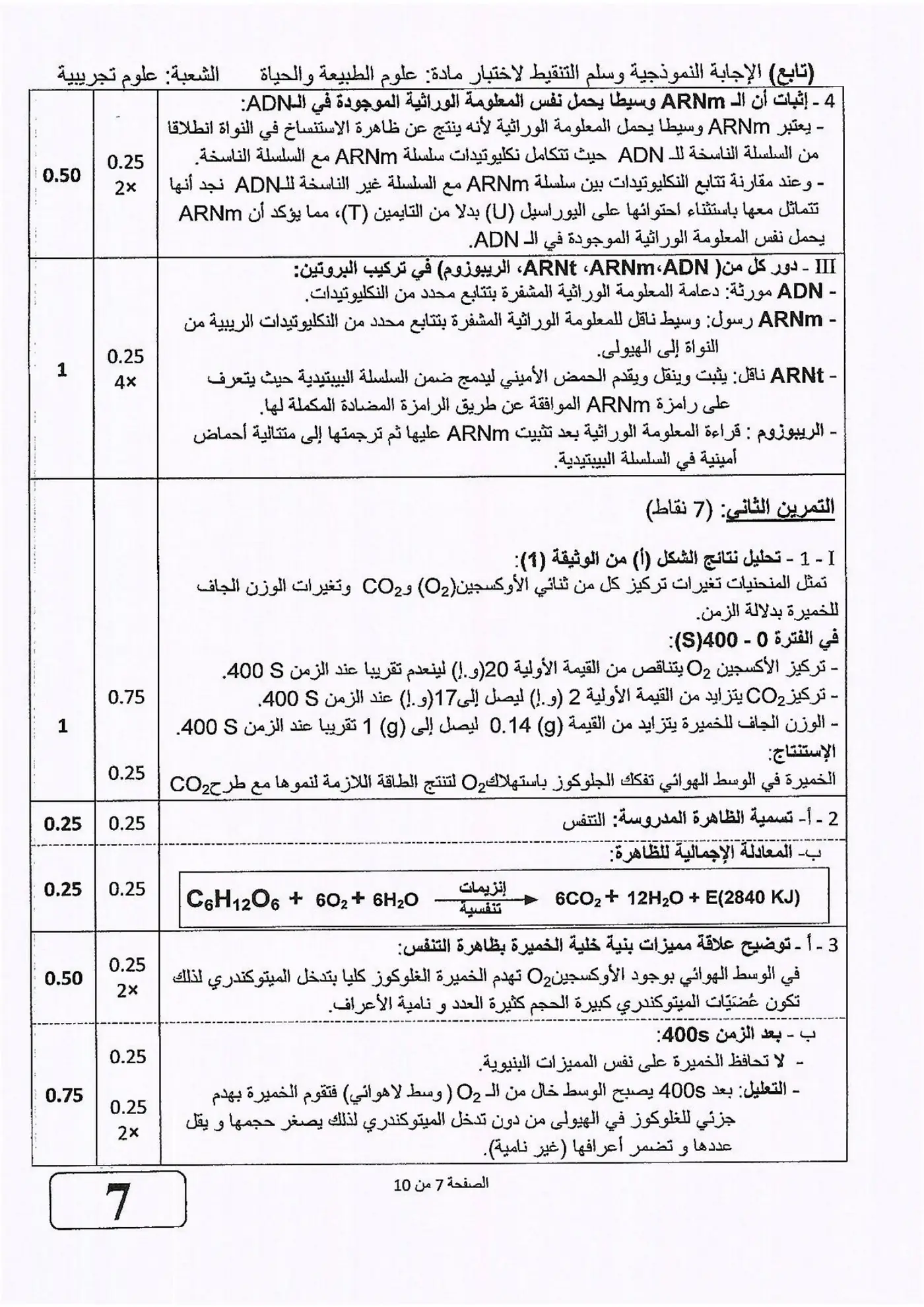 الصفحة 7 من 10