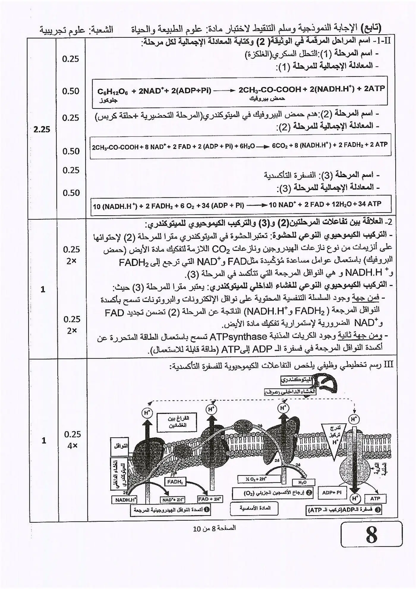 الصفحة 8 من 10
