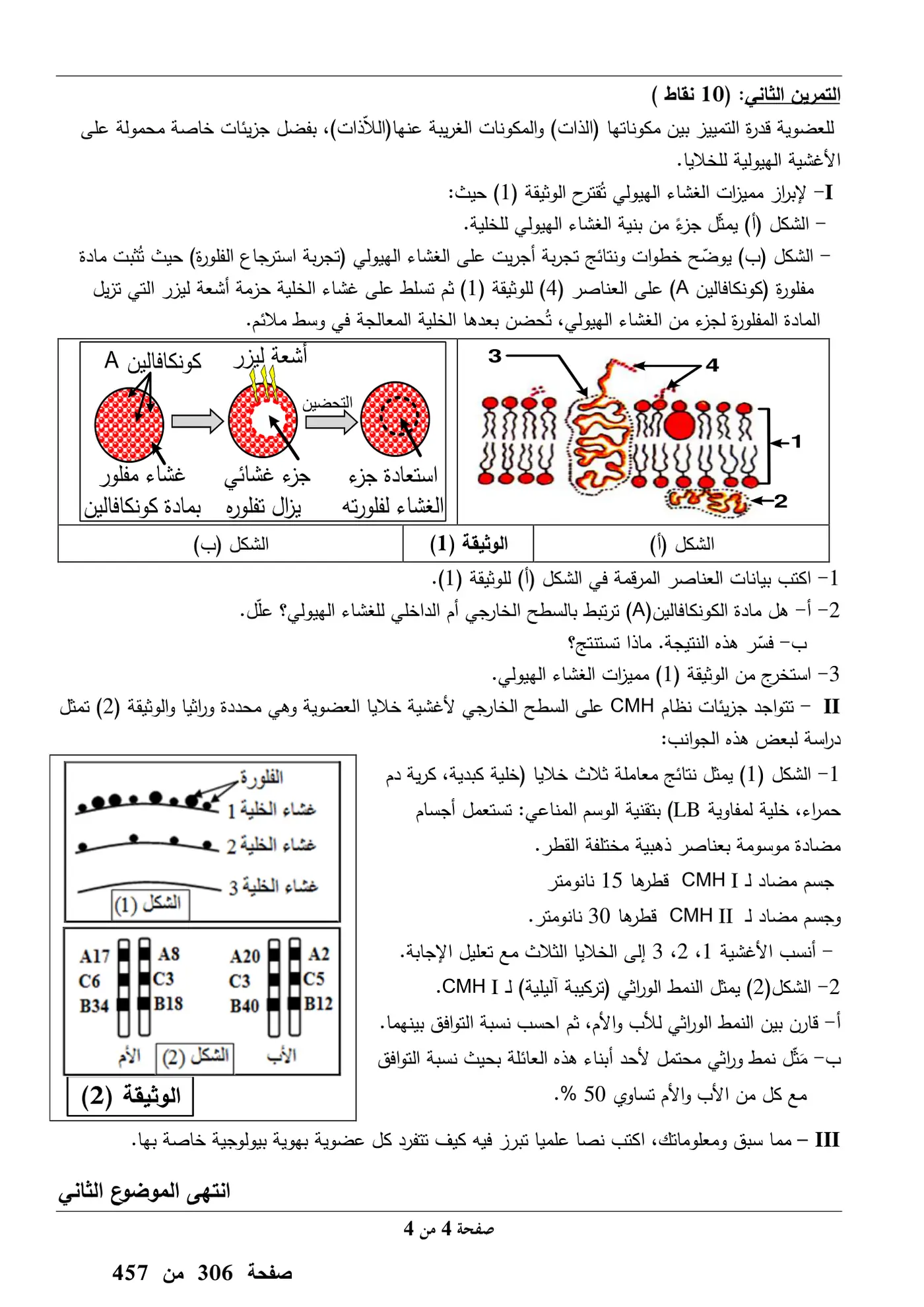 الصفحة 4 من 4