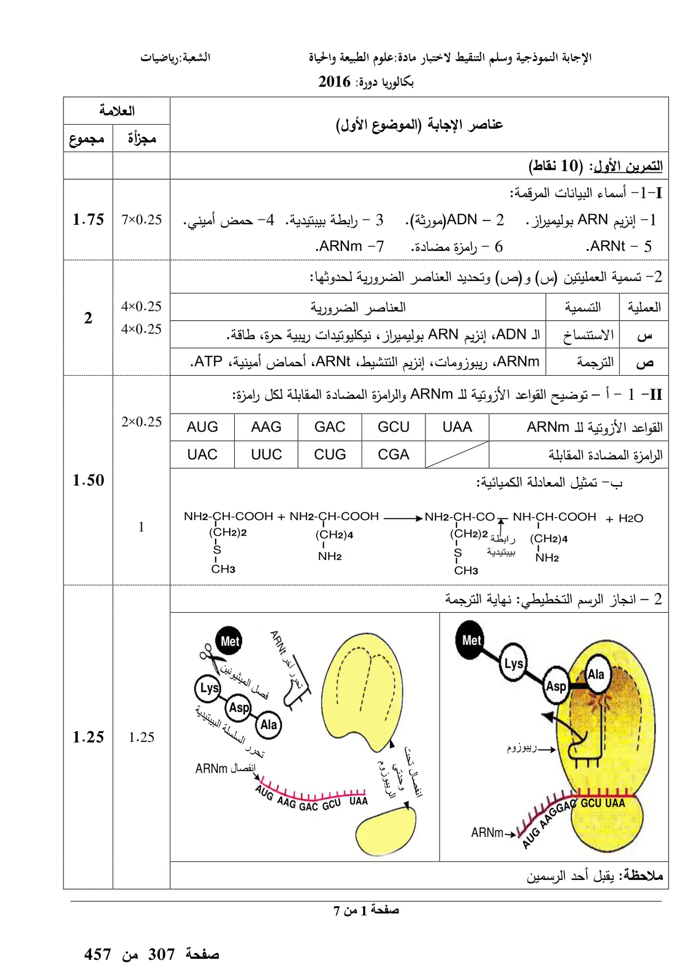 الصفحة 1 من 7