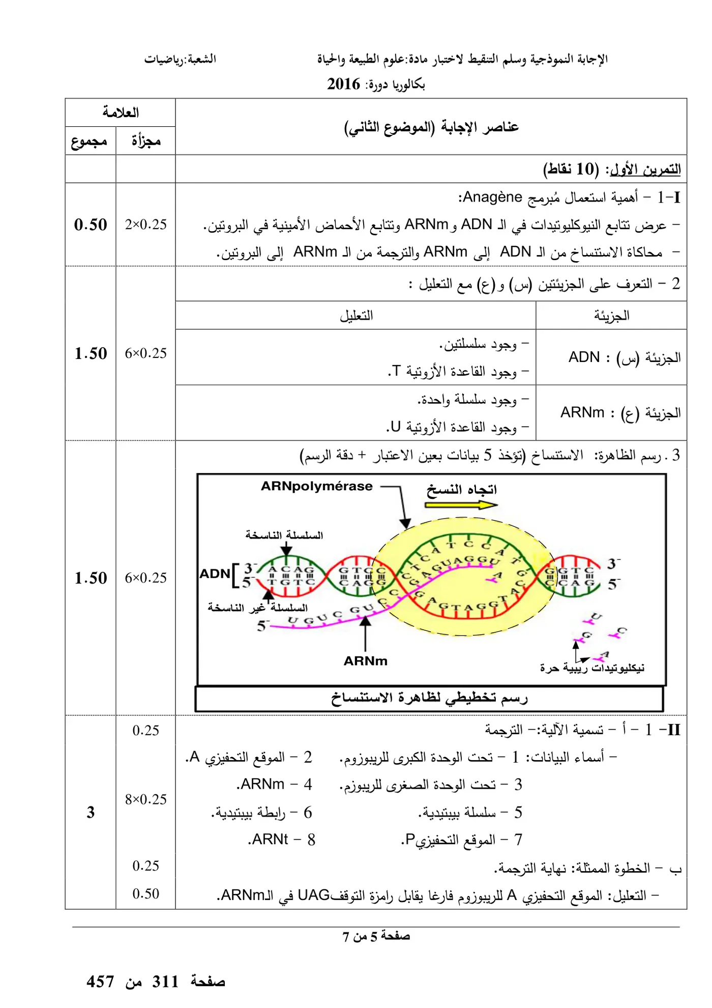 الصفحة 5 من 7