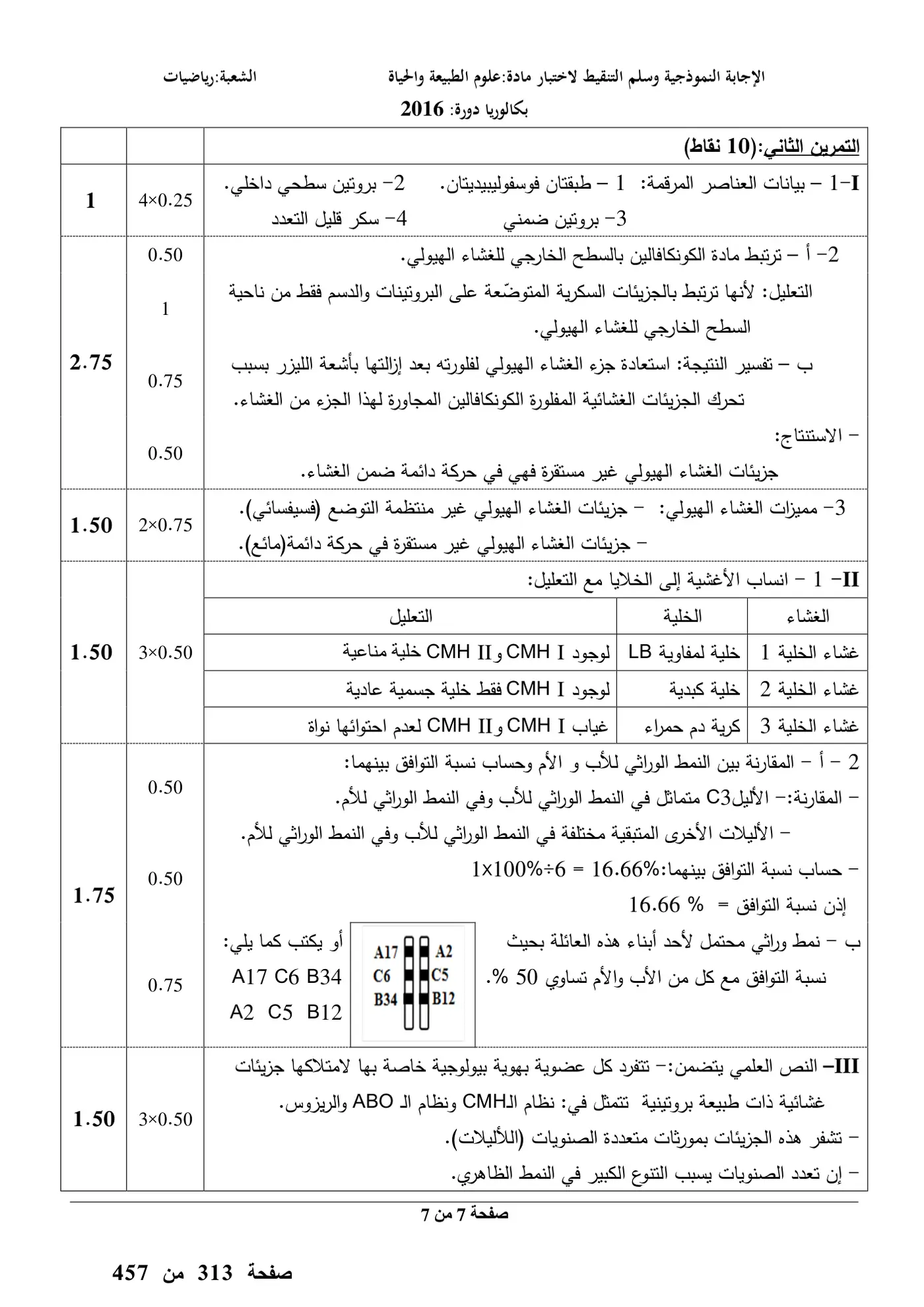 الصفحة 7 من 7