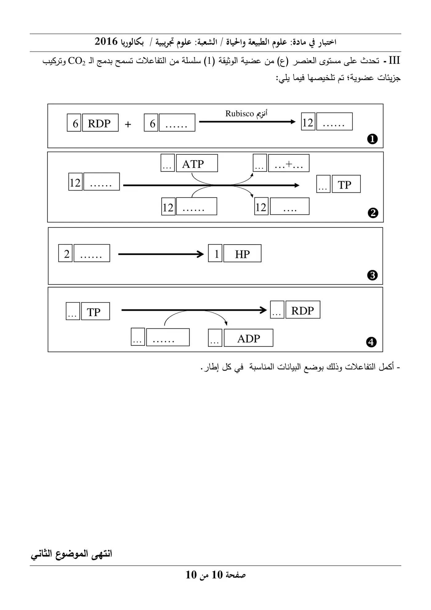 الصفحة 10 من 10