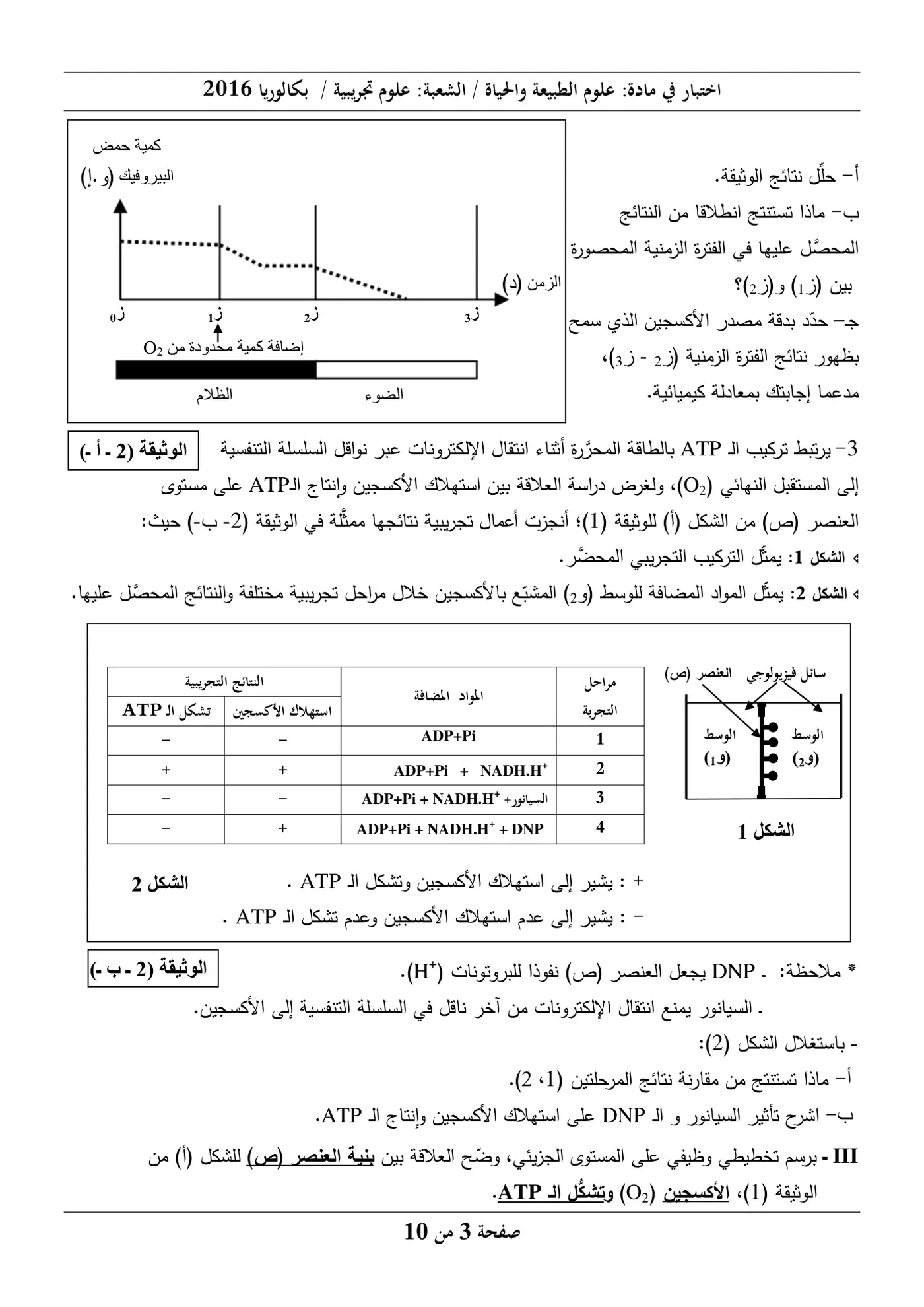الصفحة 3 من 10