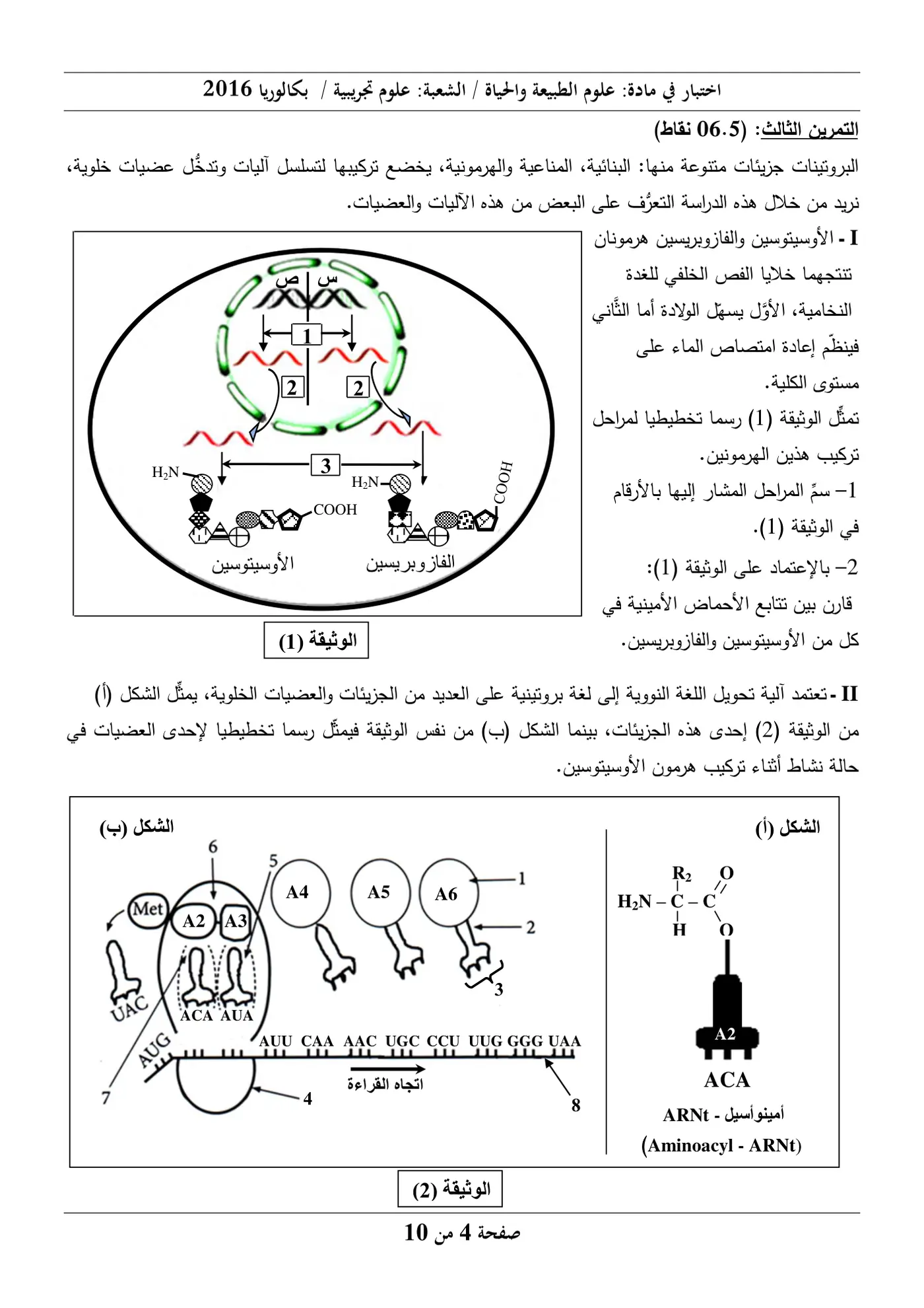 الصفحة 4 من 10