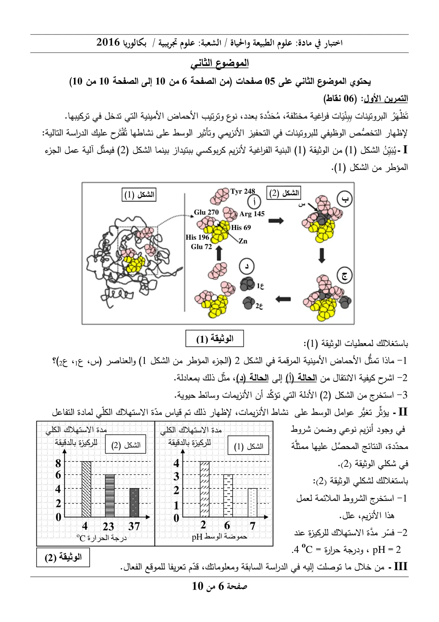 الصفحة 6 من 10