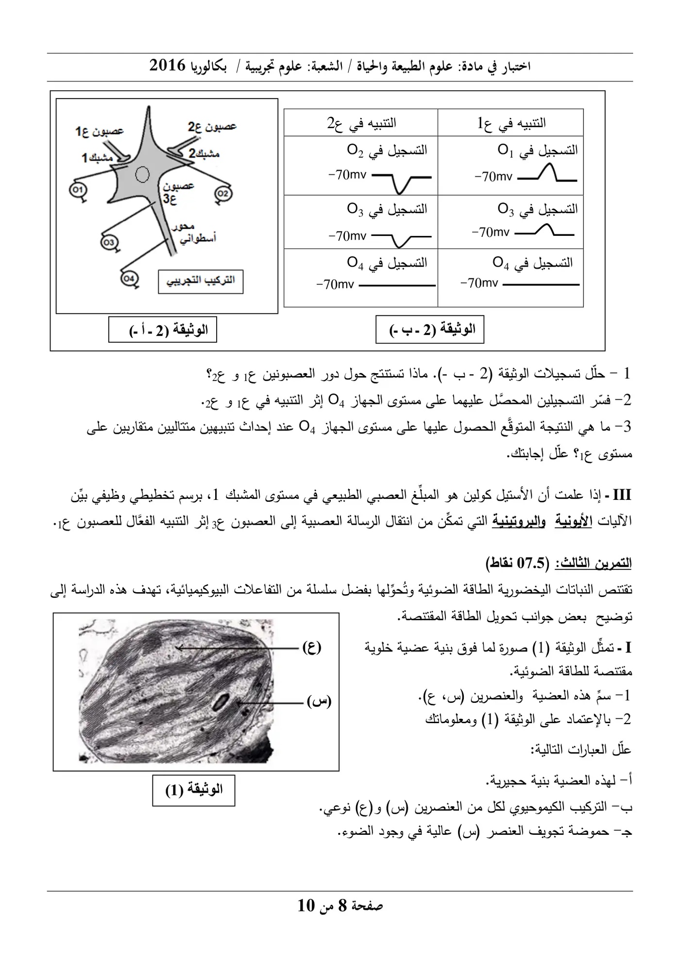 الصفحة 8 من 10