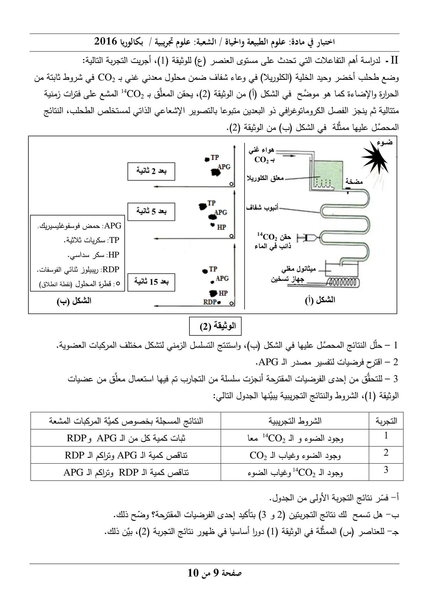 الصفحة 9 من 10