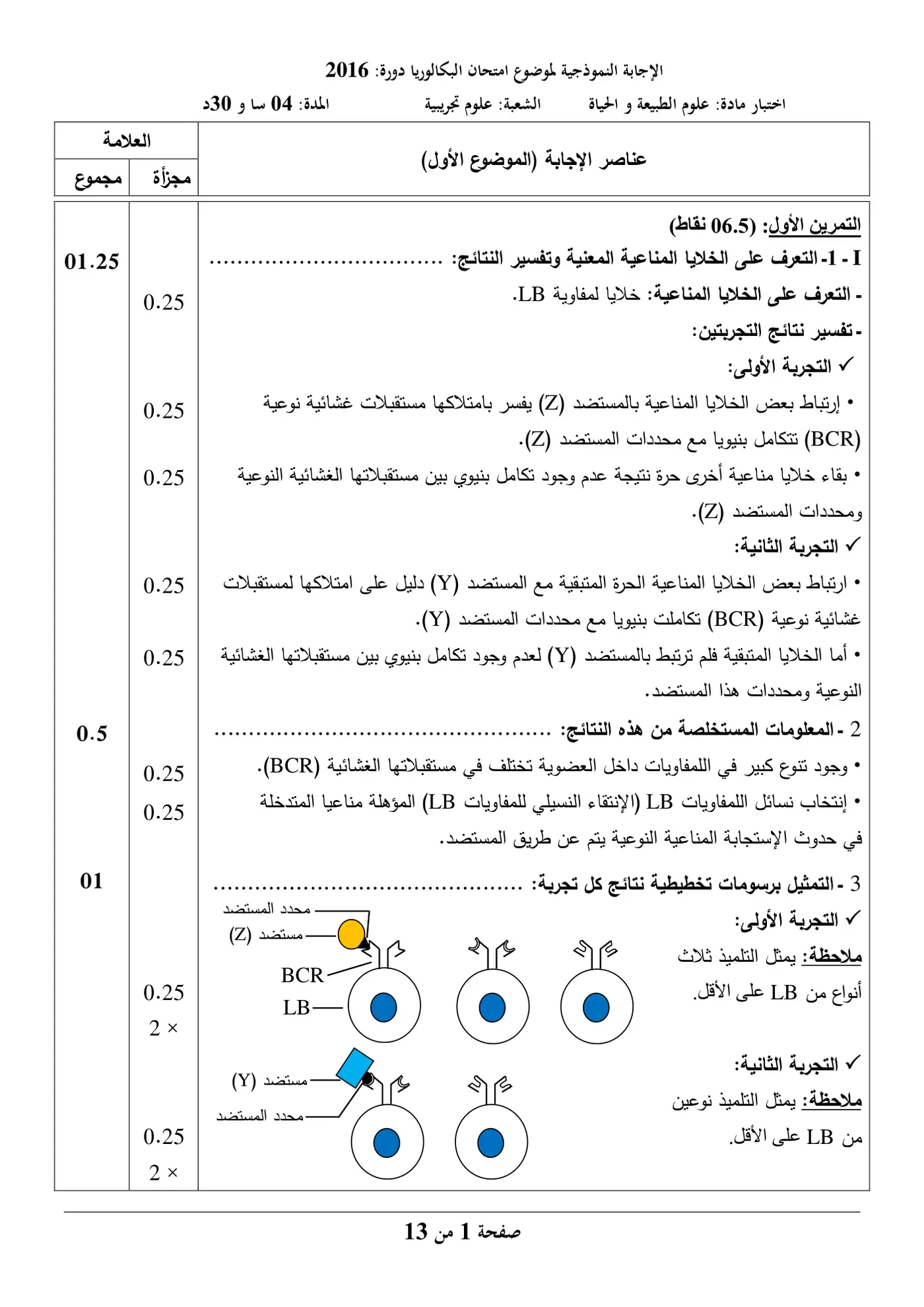 الصفحة 1 من 13