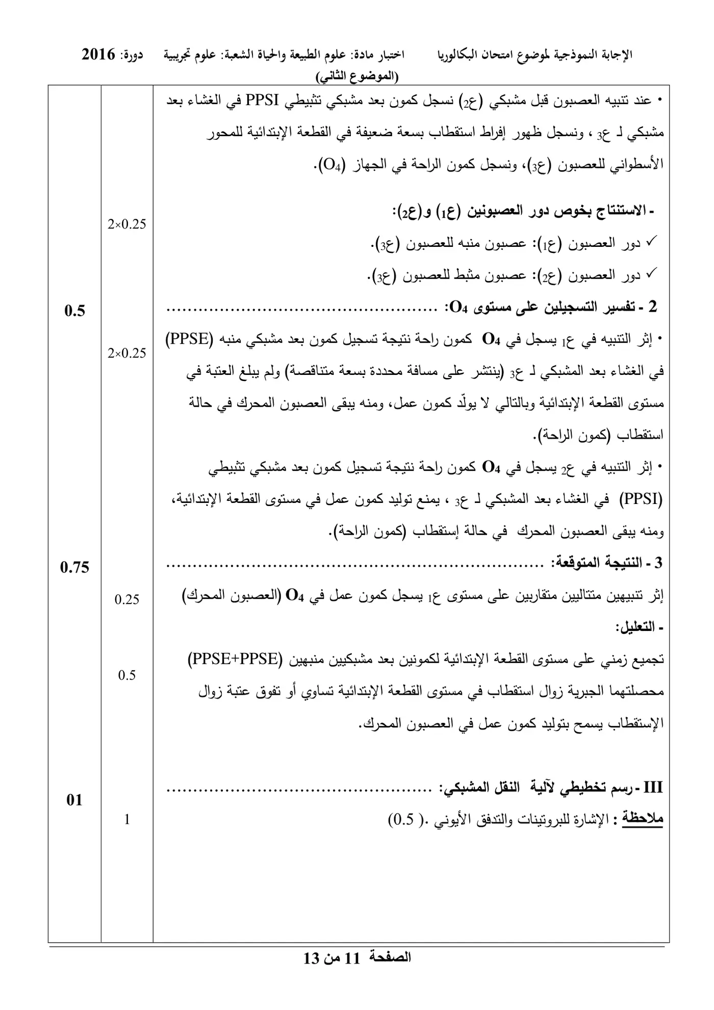 الصفحة 11 من 13