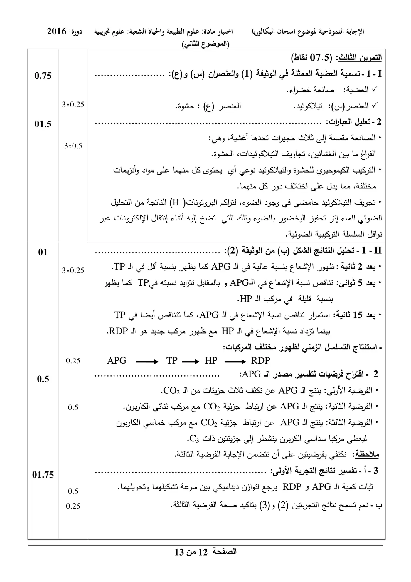 الصفحة 12 من 13