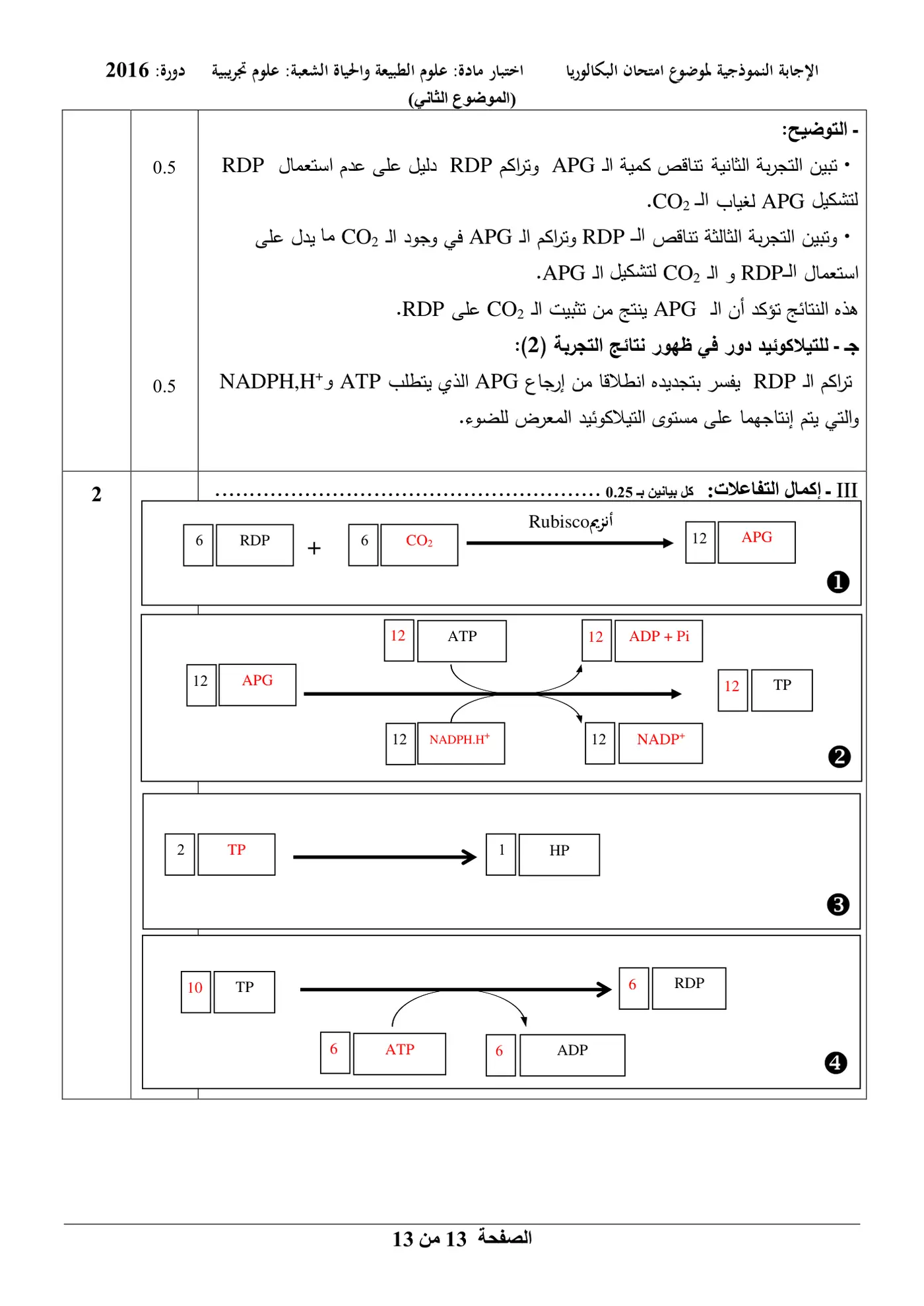 الصفحة 13 من 13