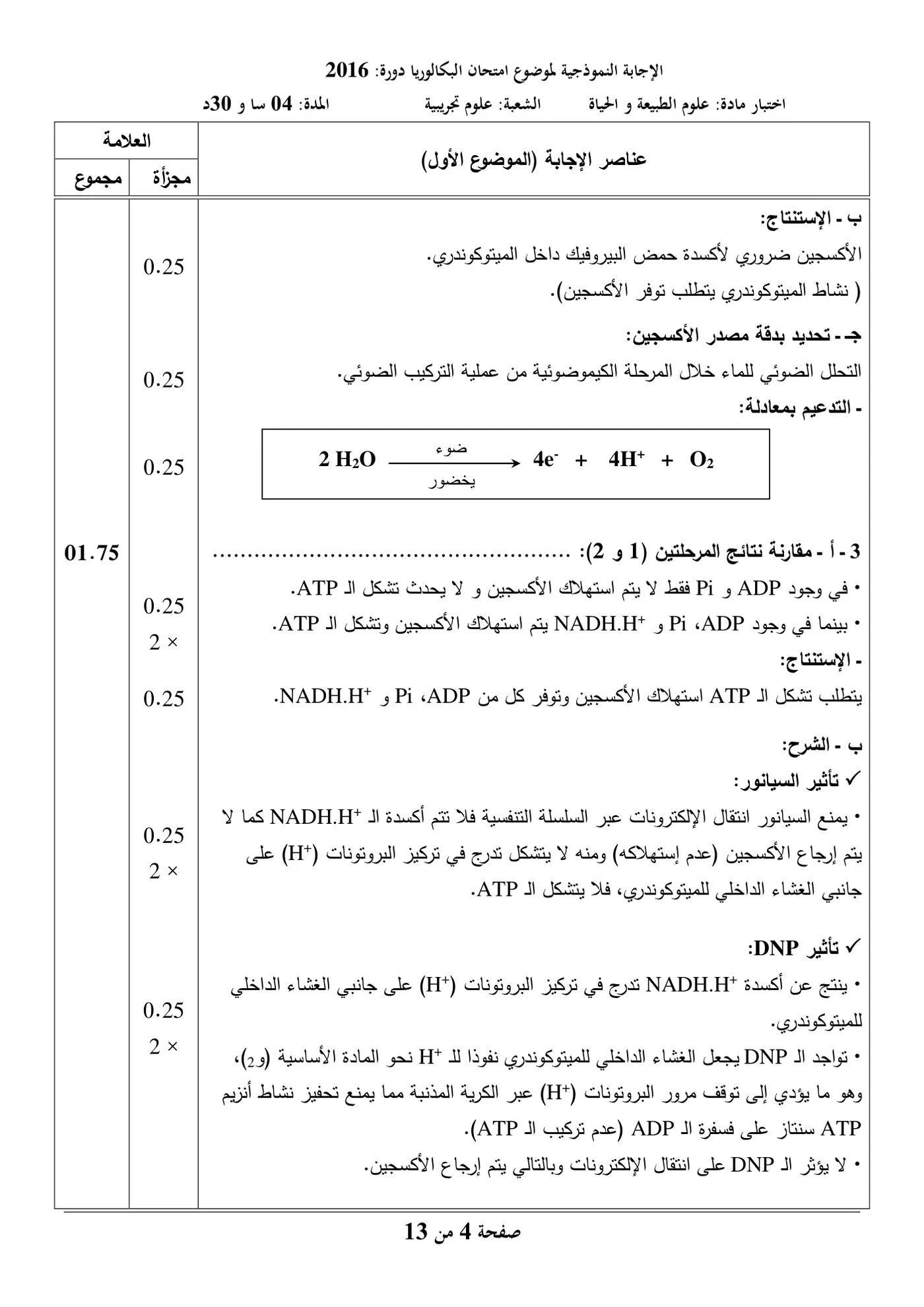 الصفحة 4 من 13