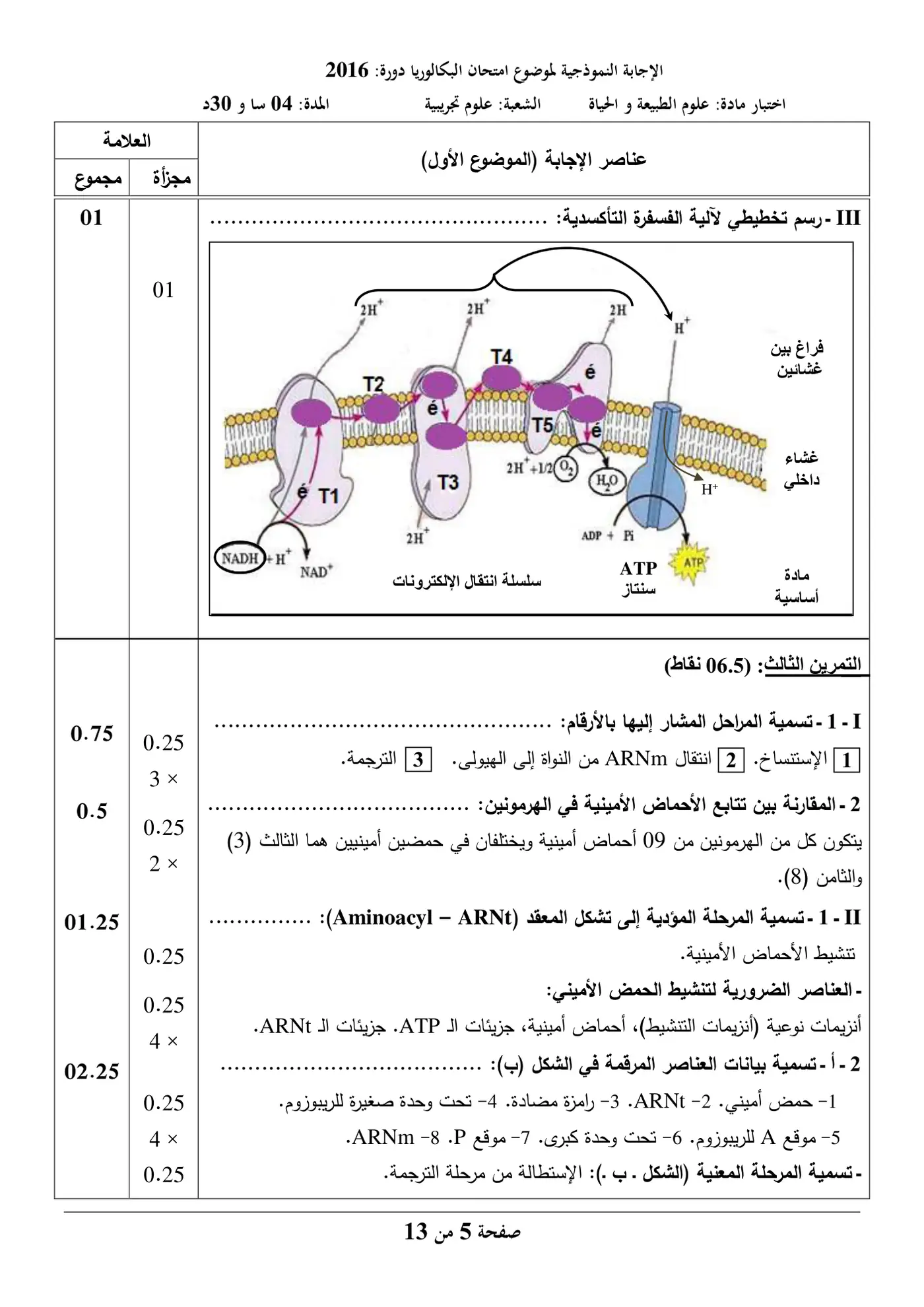 الصفحة 5 من 13