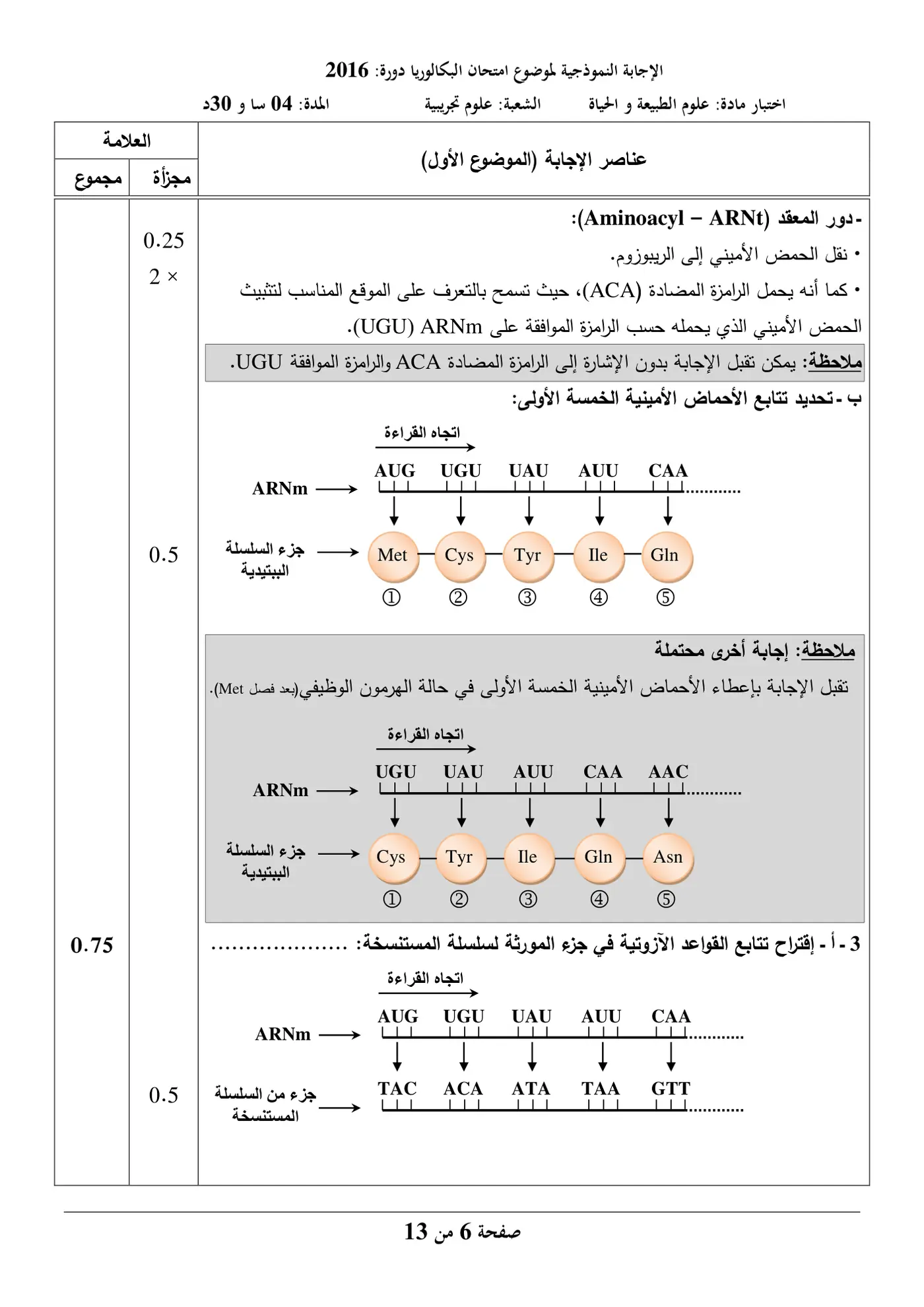 الصفحة 6 من 13