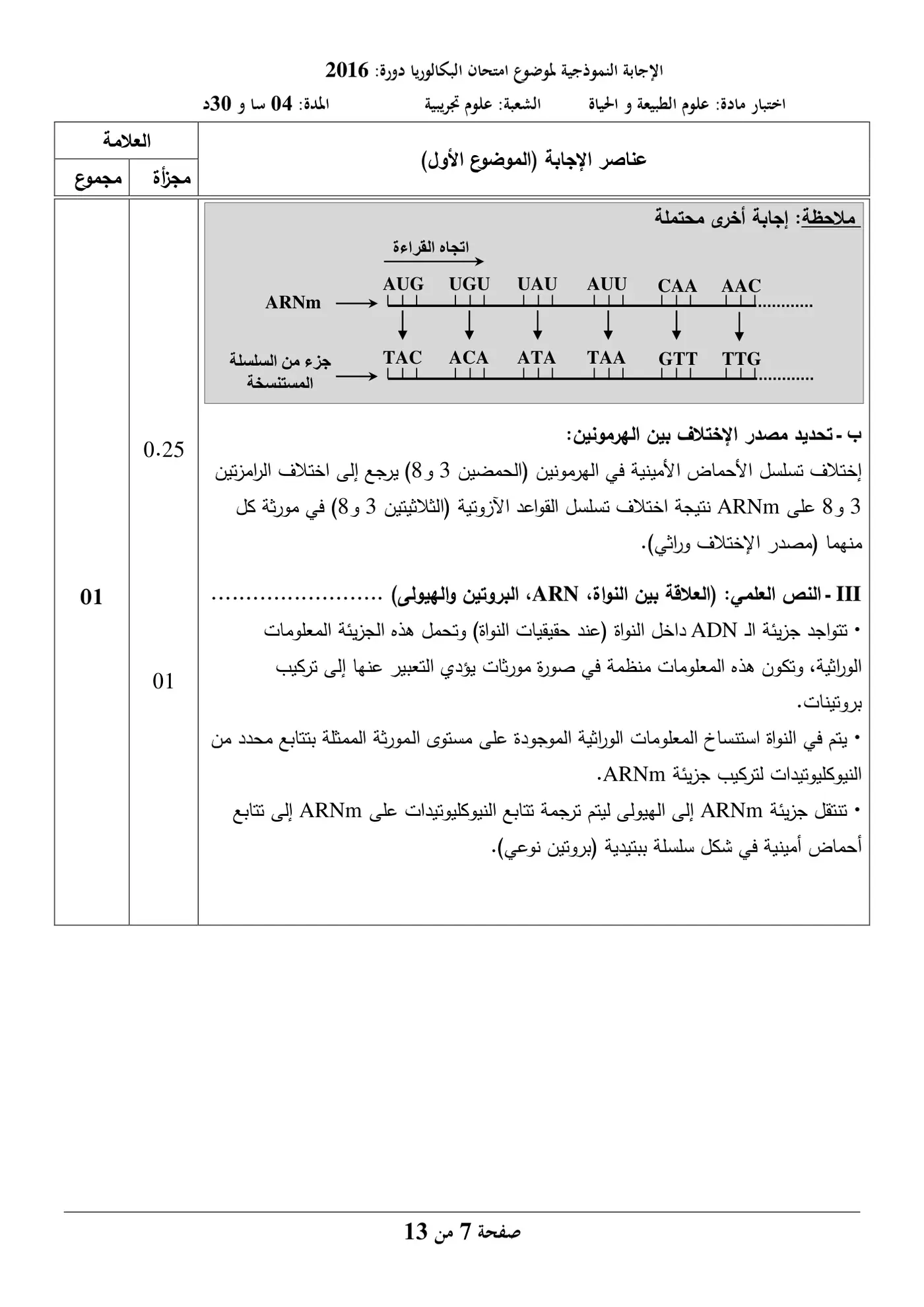 الصفحة 7 من 13