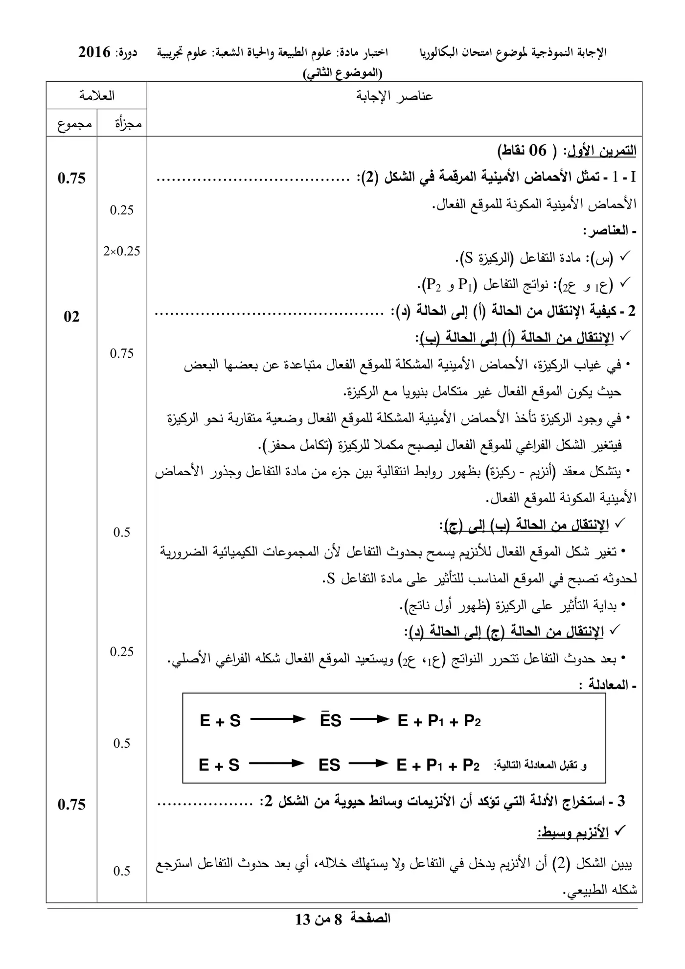 الصفحة 8 من 13