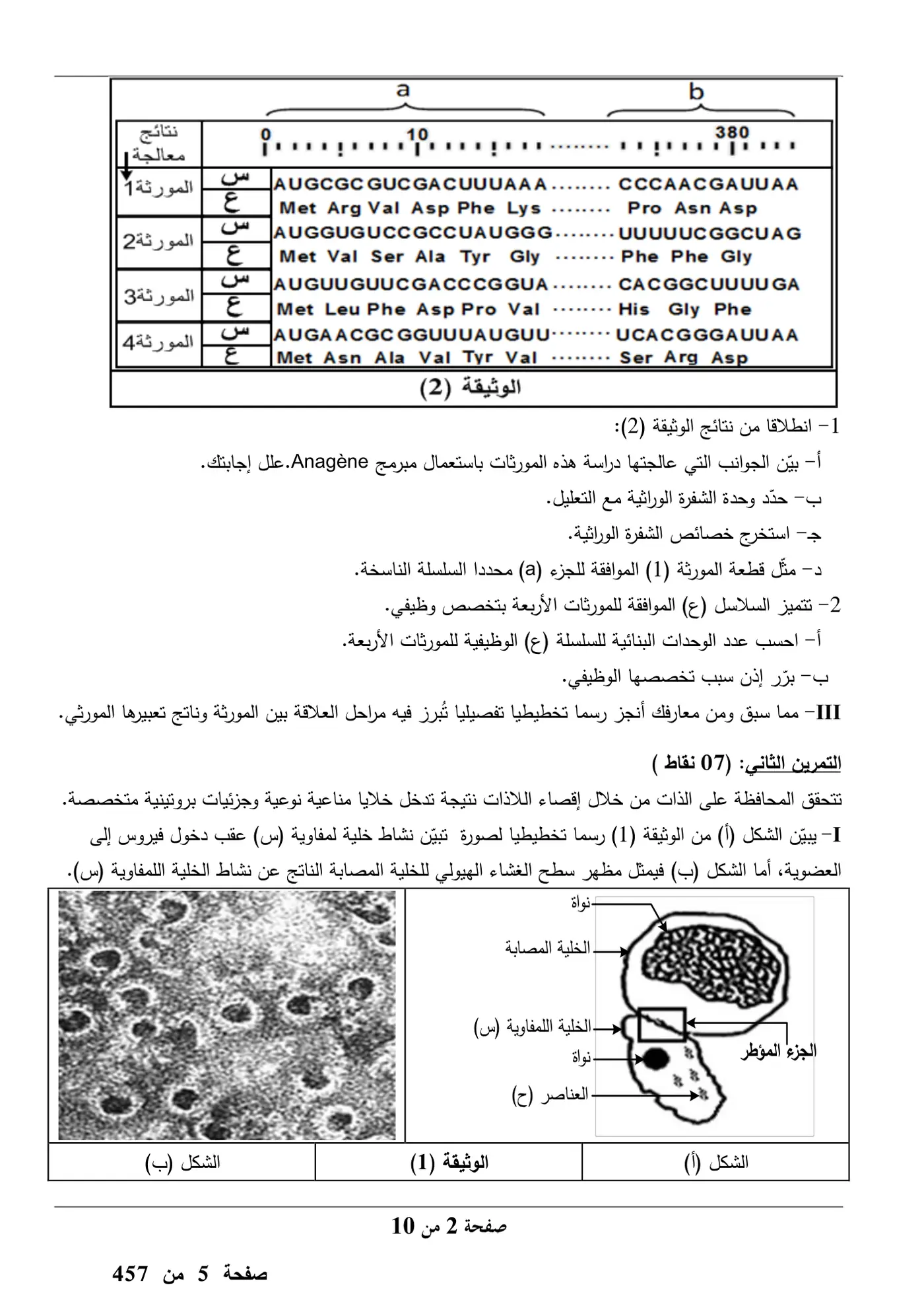 الصفحة 2 من 10