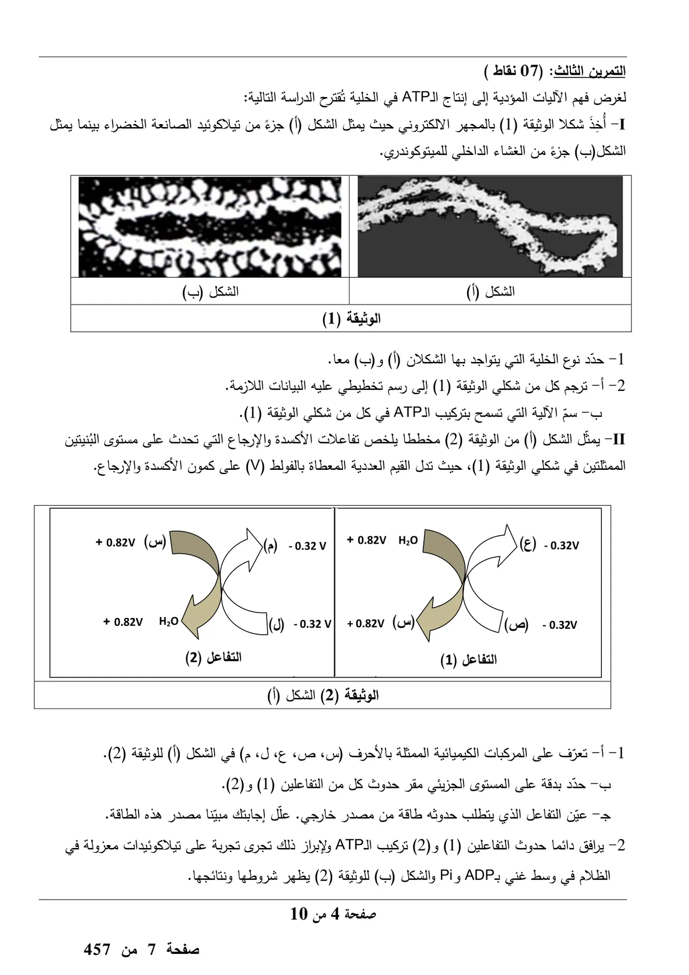 الصفحة 4 من 10