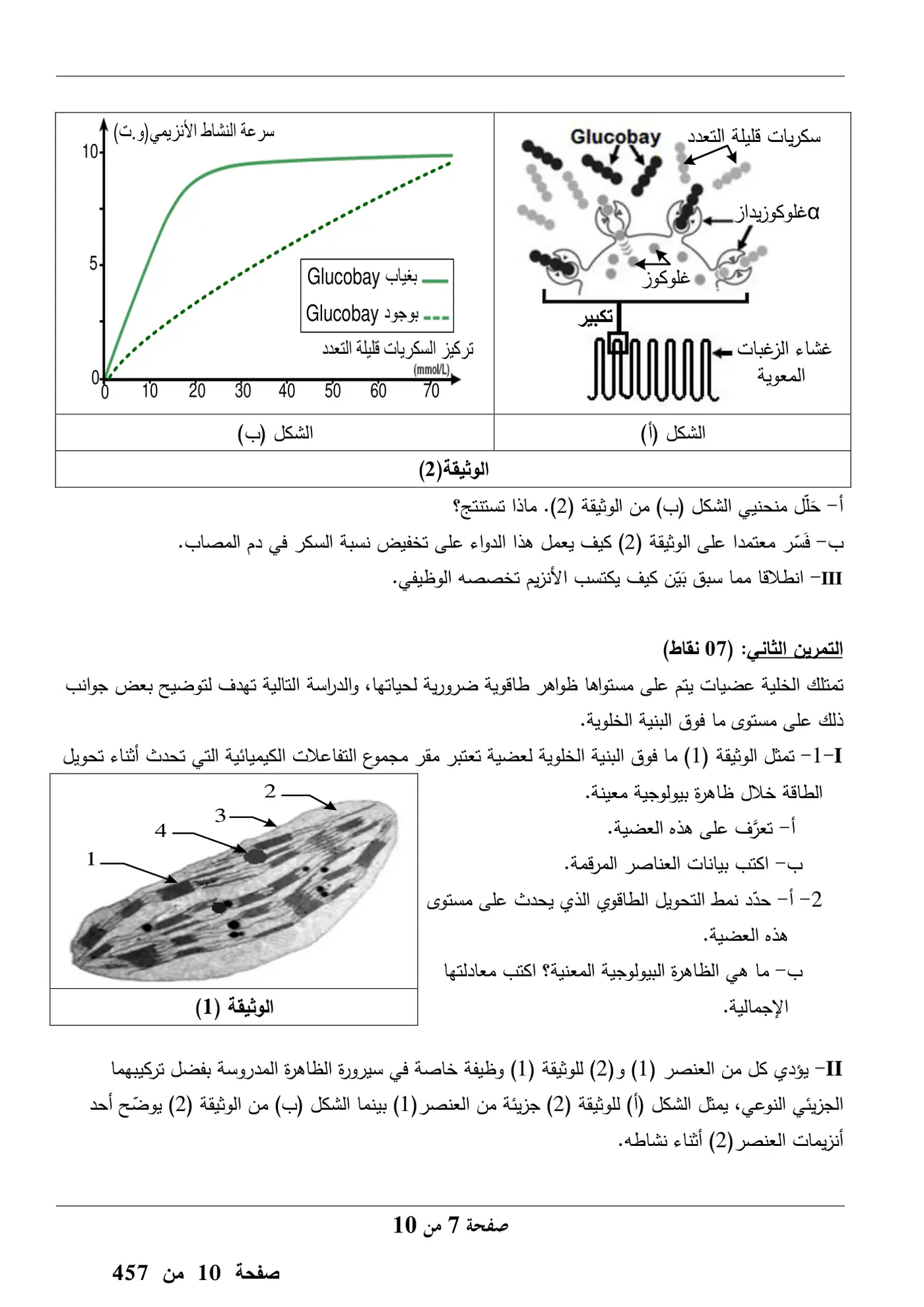 الصفحة 7 من 10