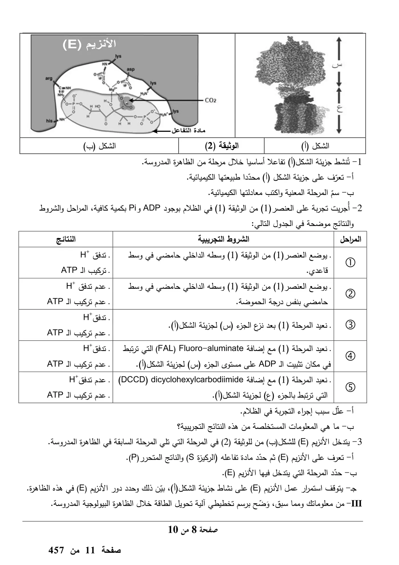 الصفحة 8 من 10