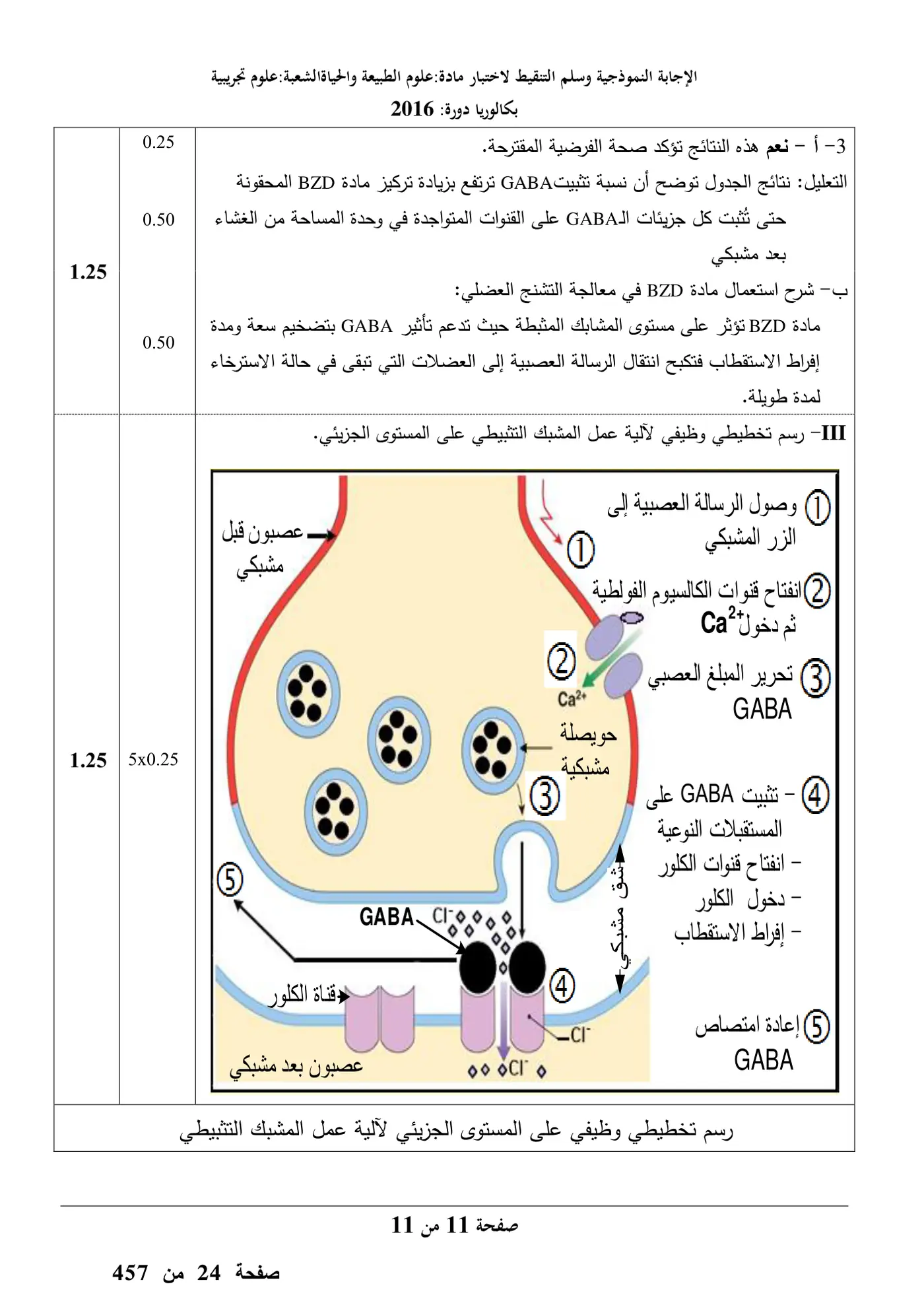 الصفحة 11 من 11