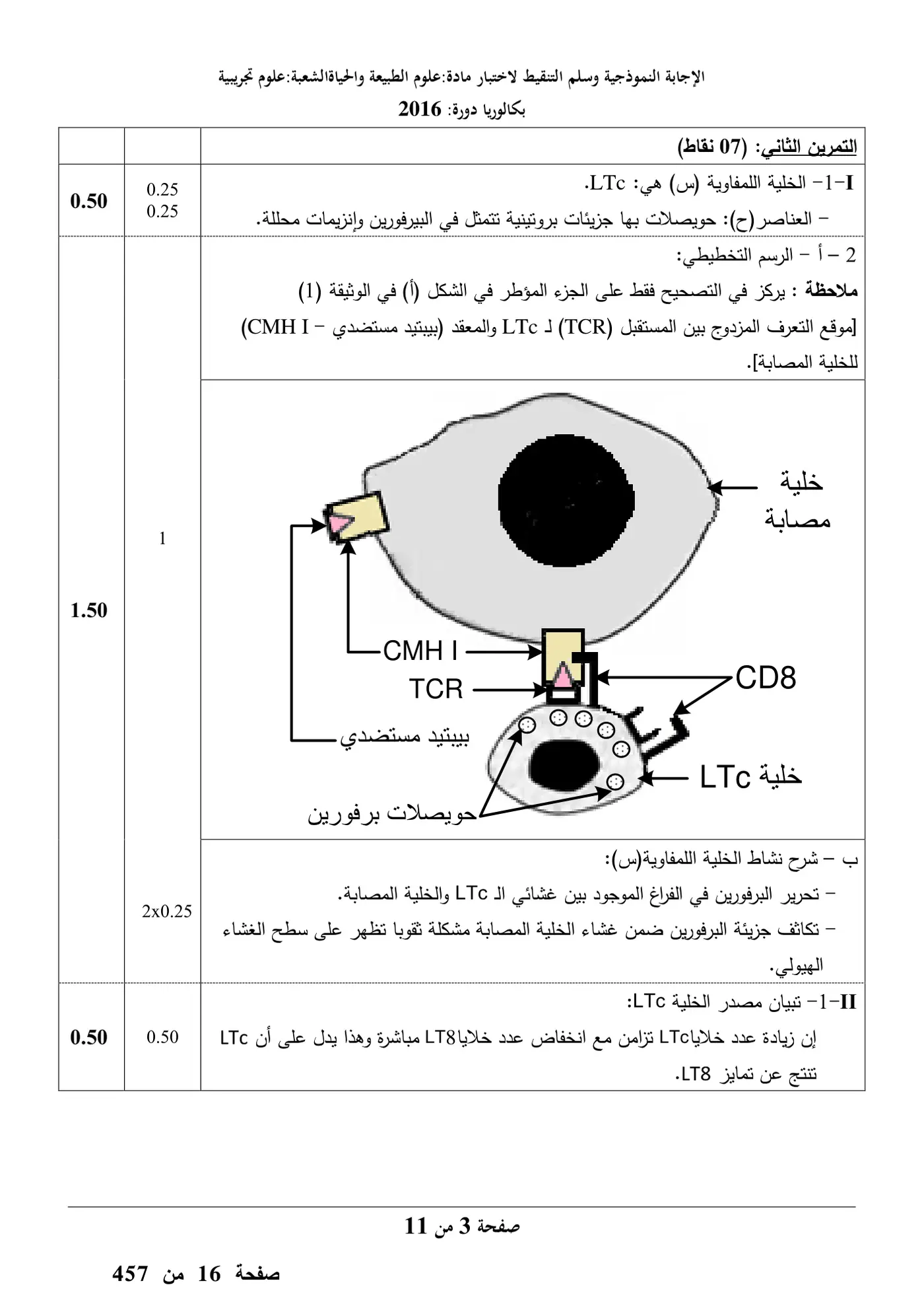 الصفحة 3 من 11