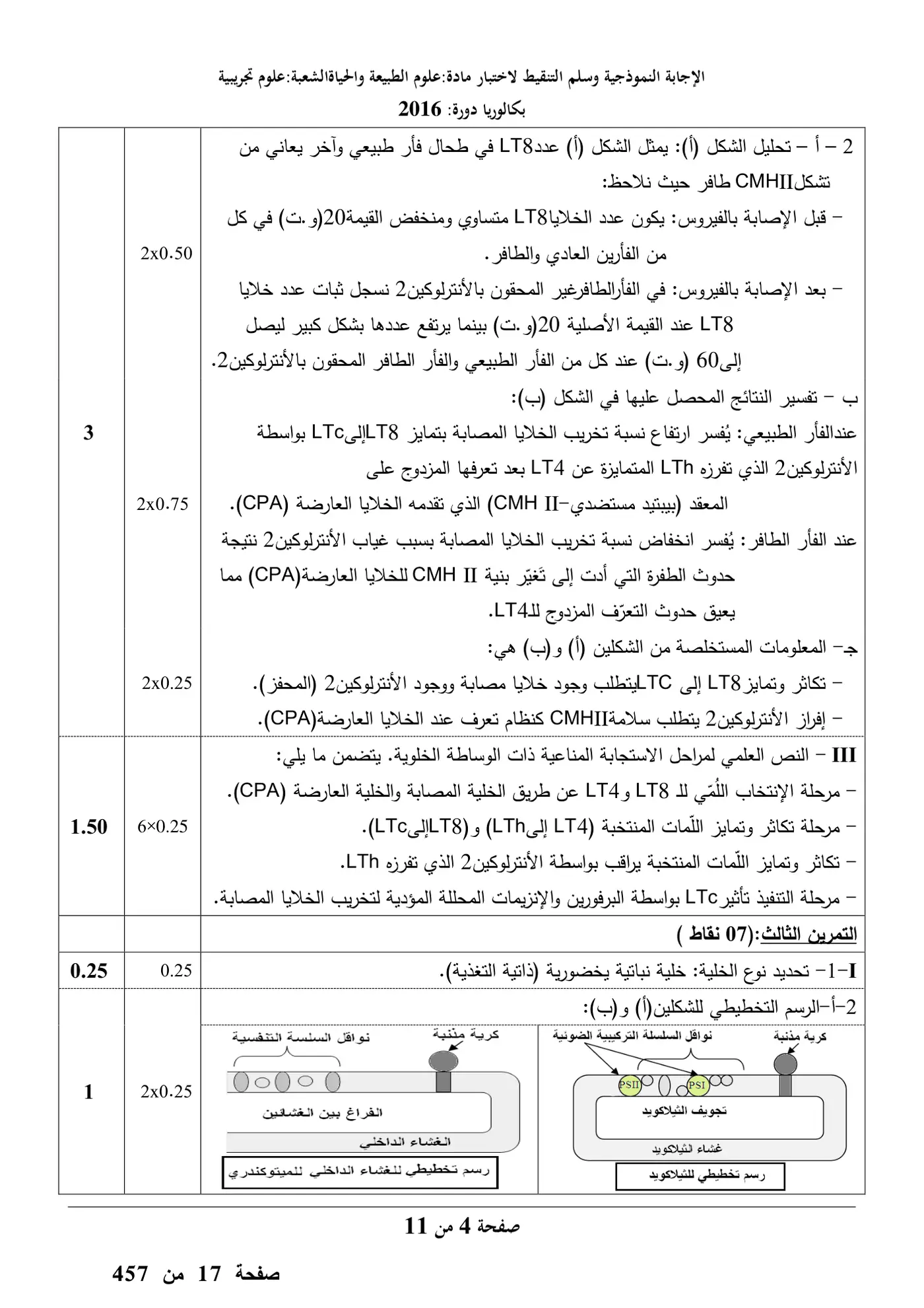 الصفحة 4 من 11