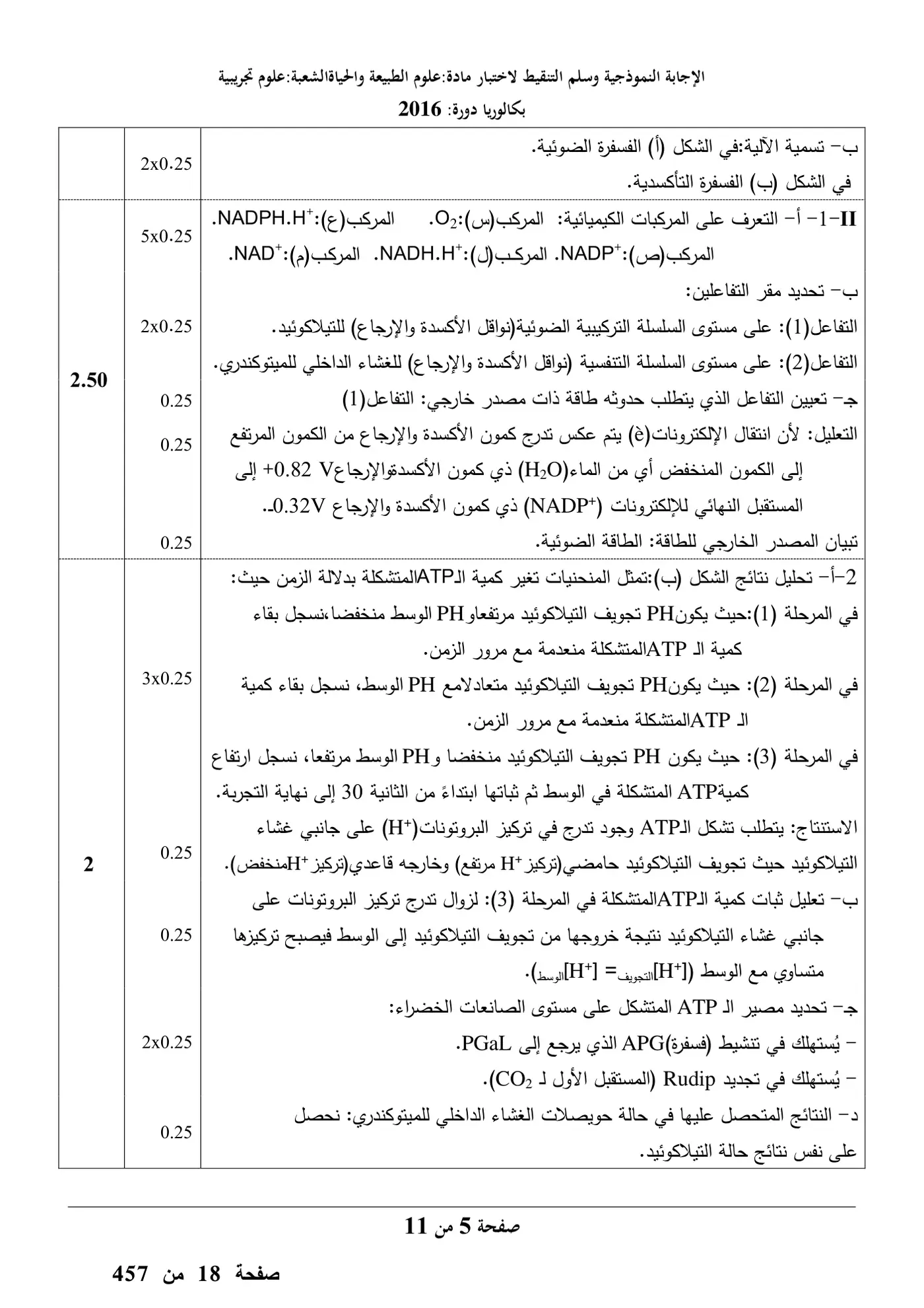 الصفحة 5 من 11