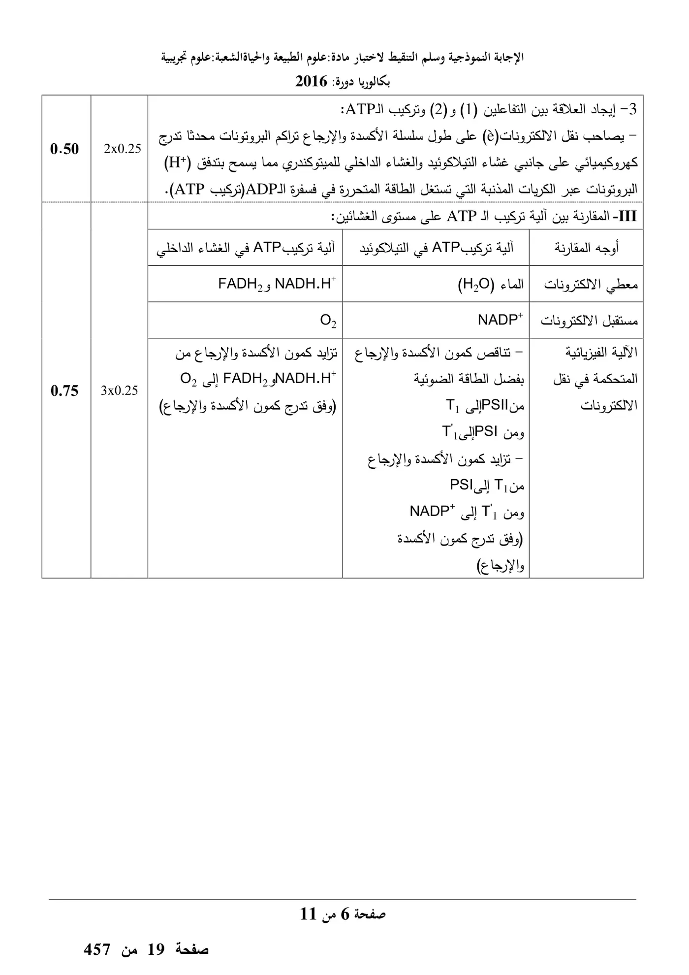 الصفحة 6 من 11