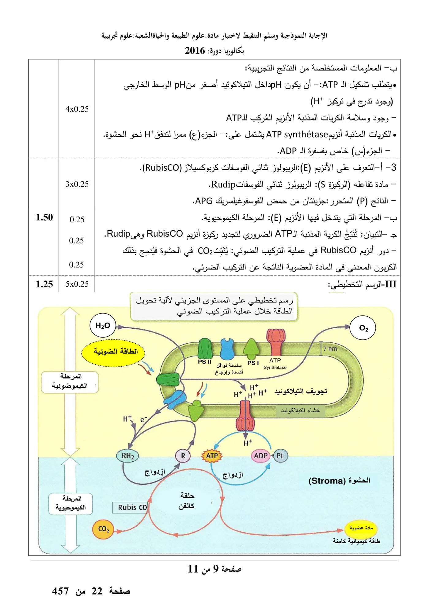 الصفحة 9 من 11