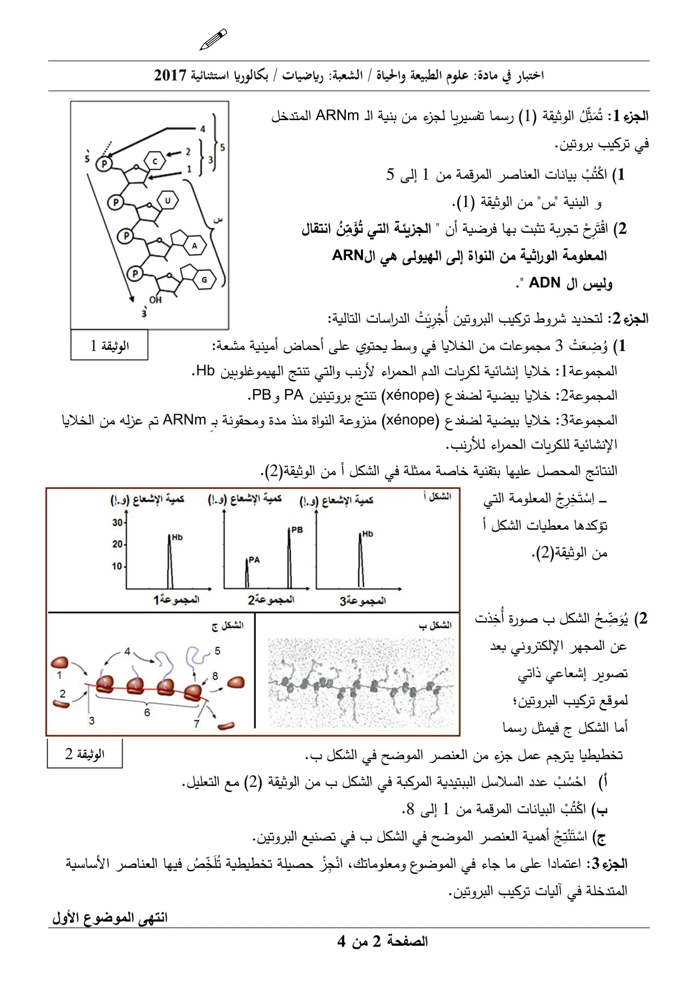 الصفحة 2 من 4
