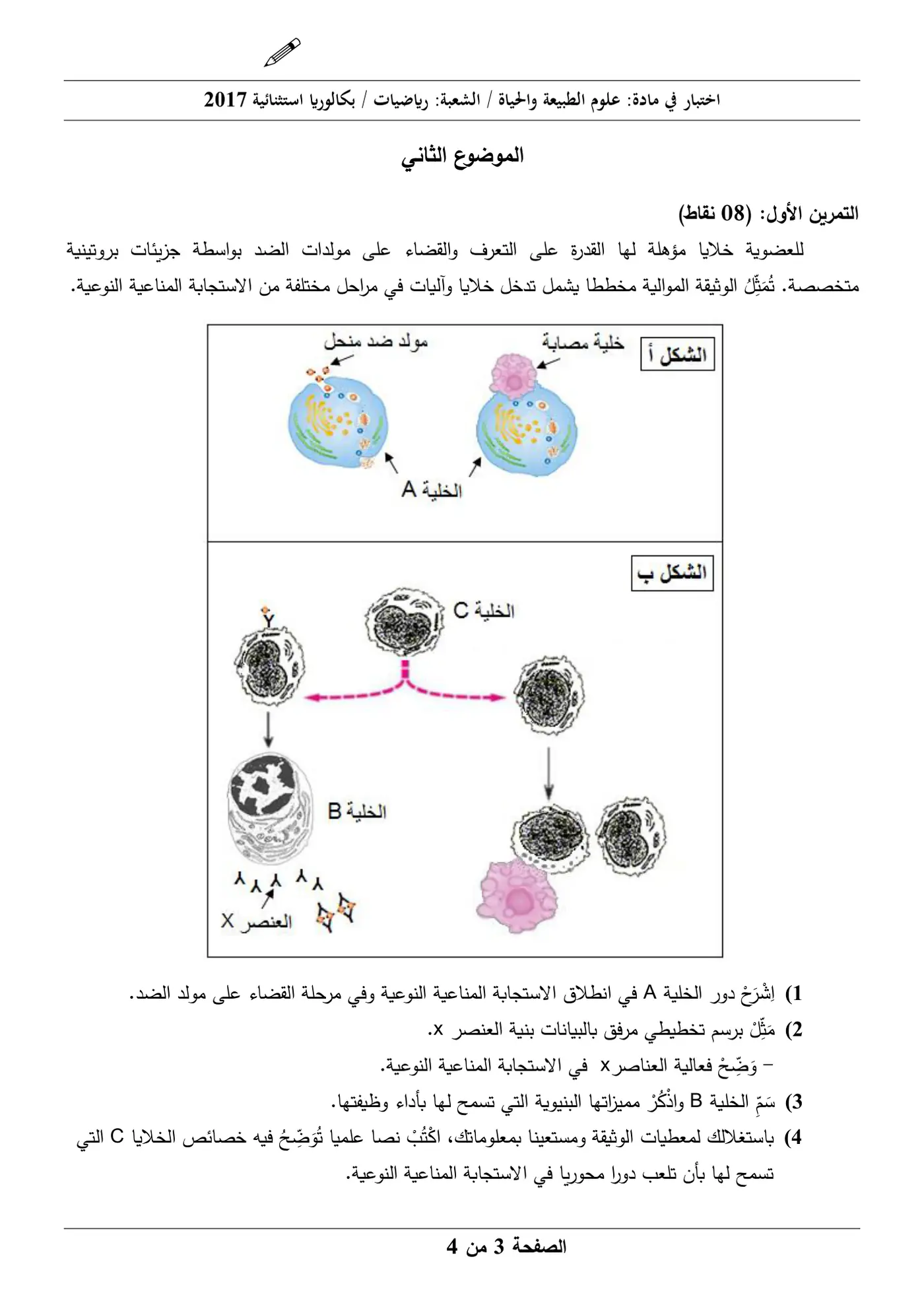 الصفحة 3 من 4