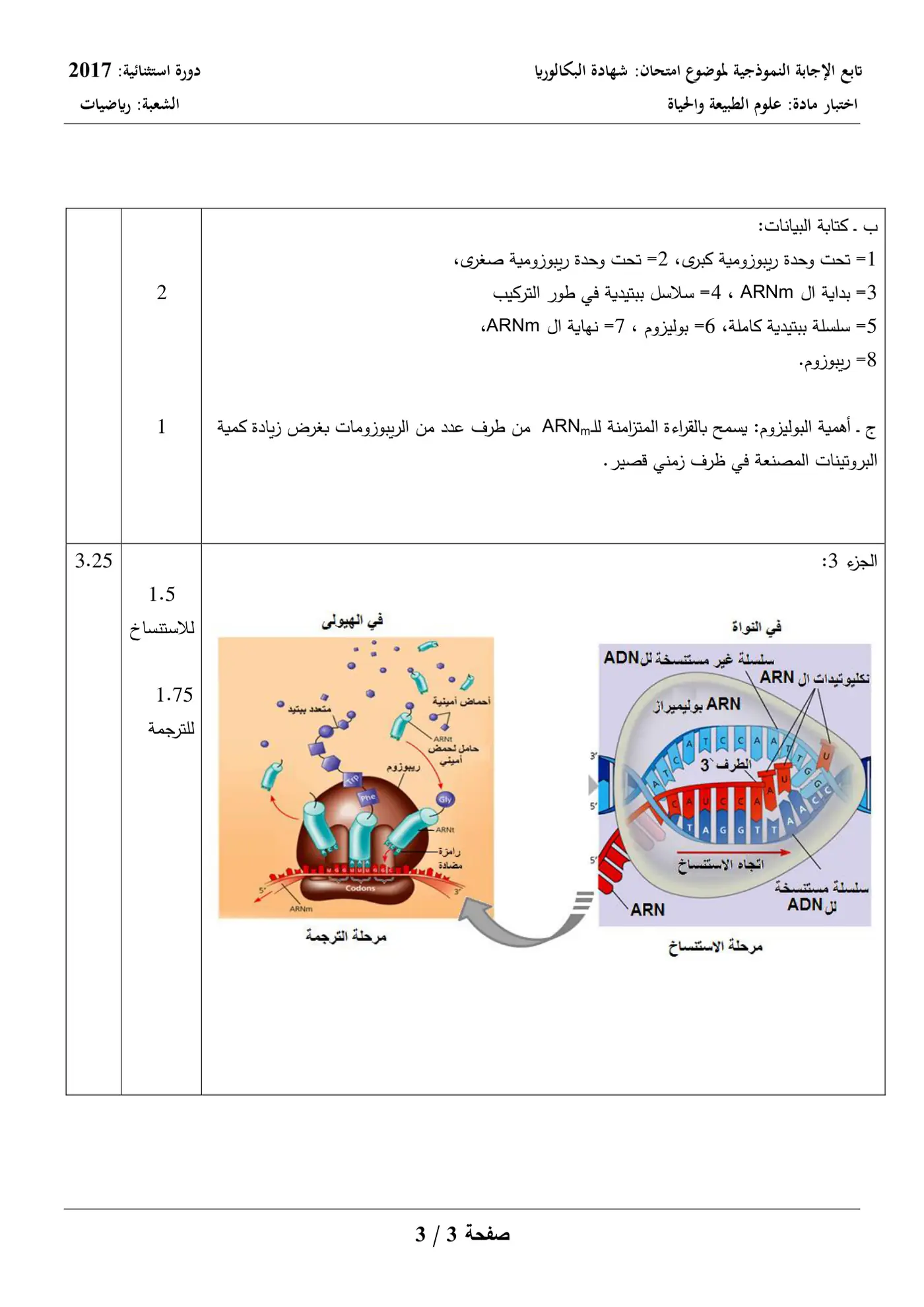 الصفحة 3 من 7