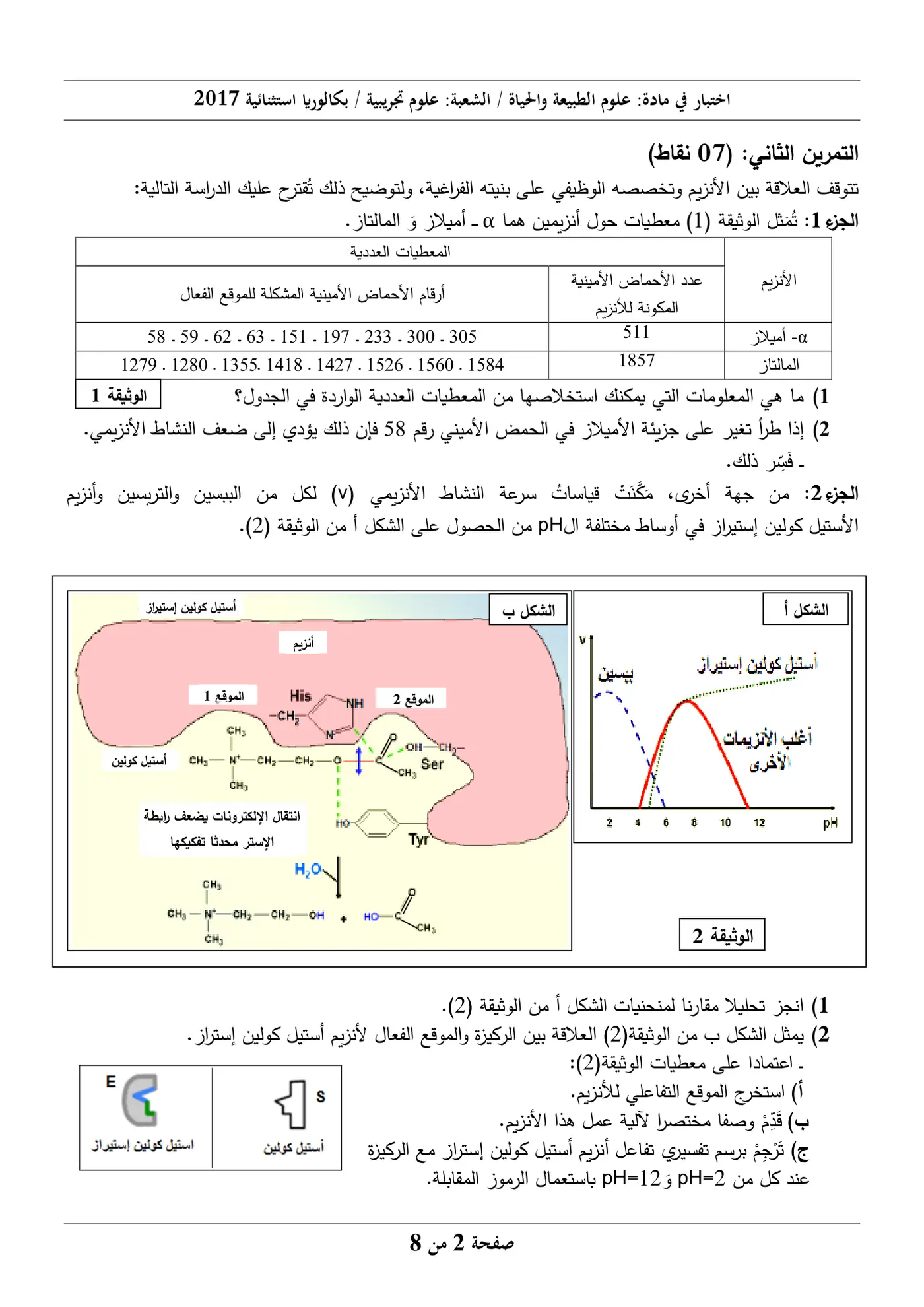 الصفحة 2 من 8