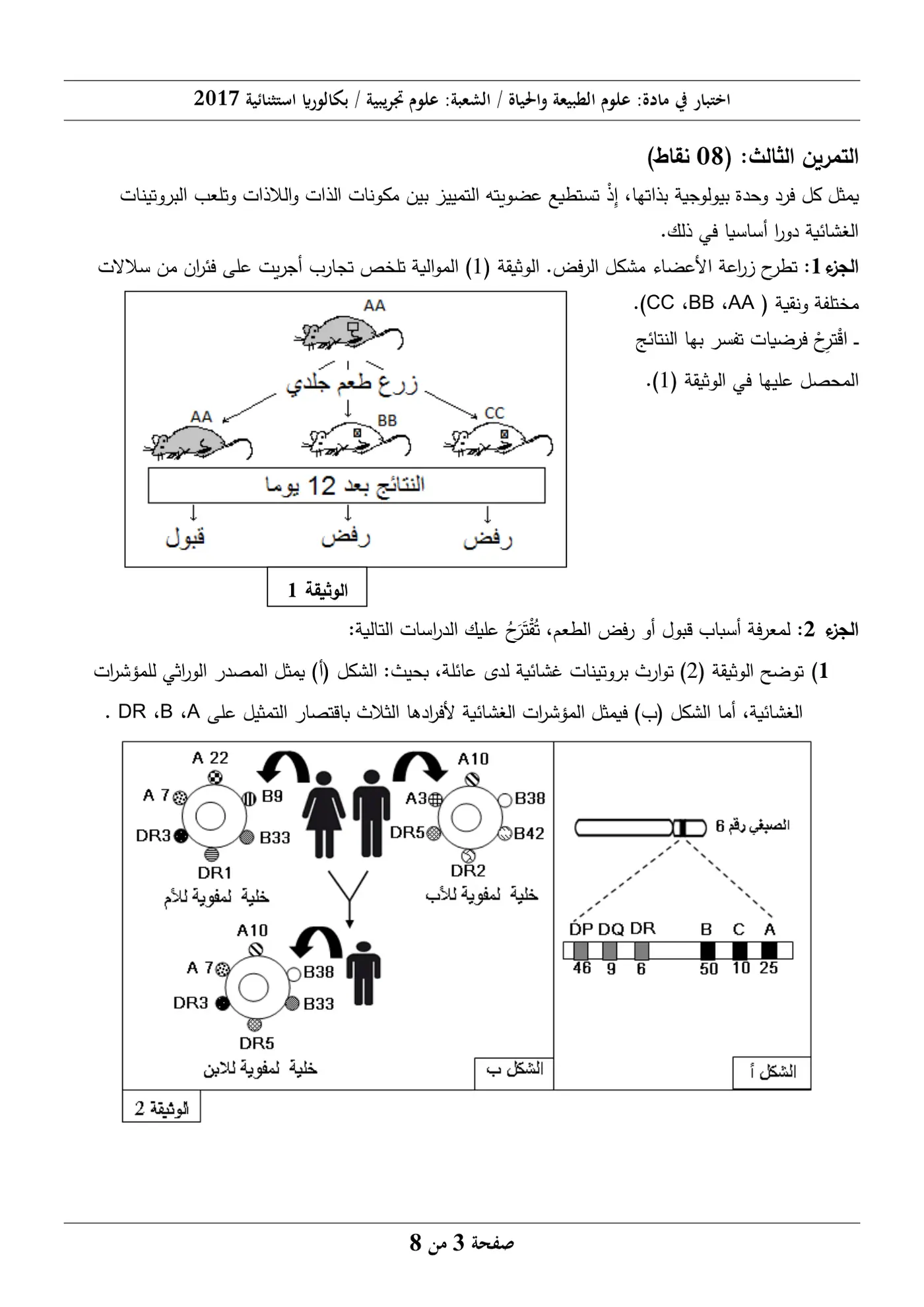 الصفحة 3 من 8