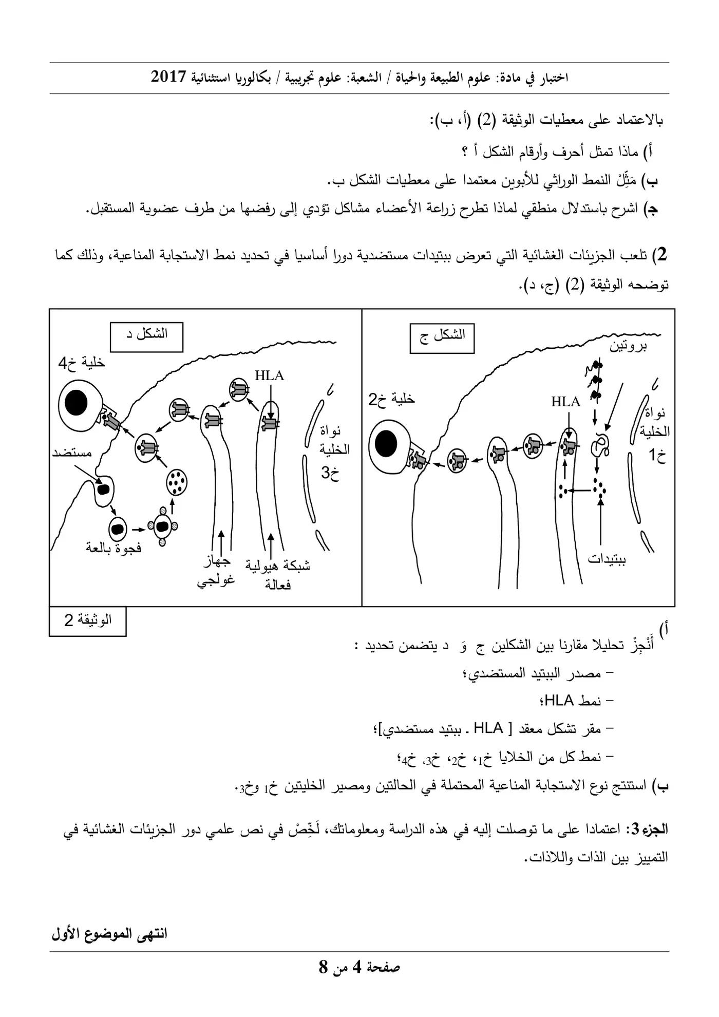 الصفحة 4 من 8