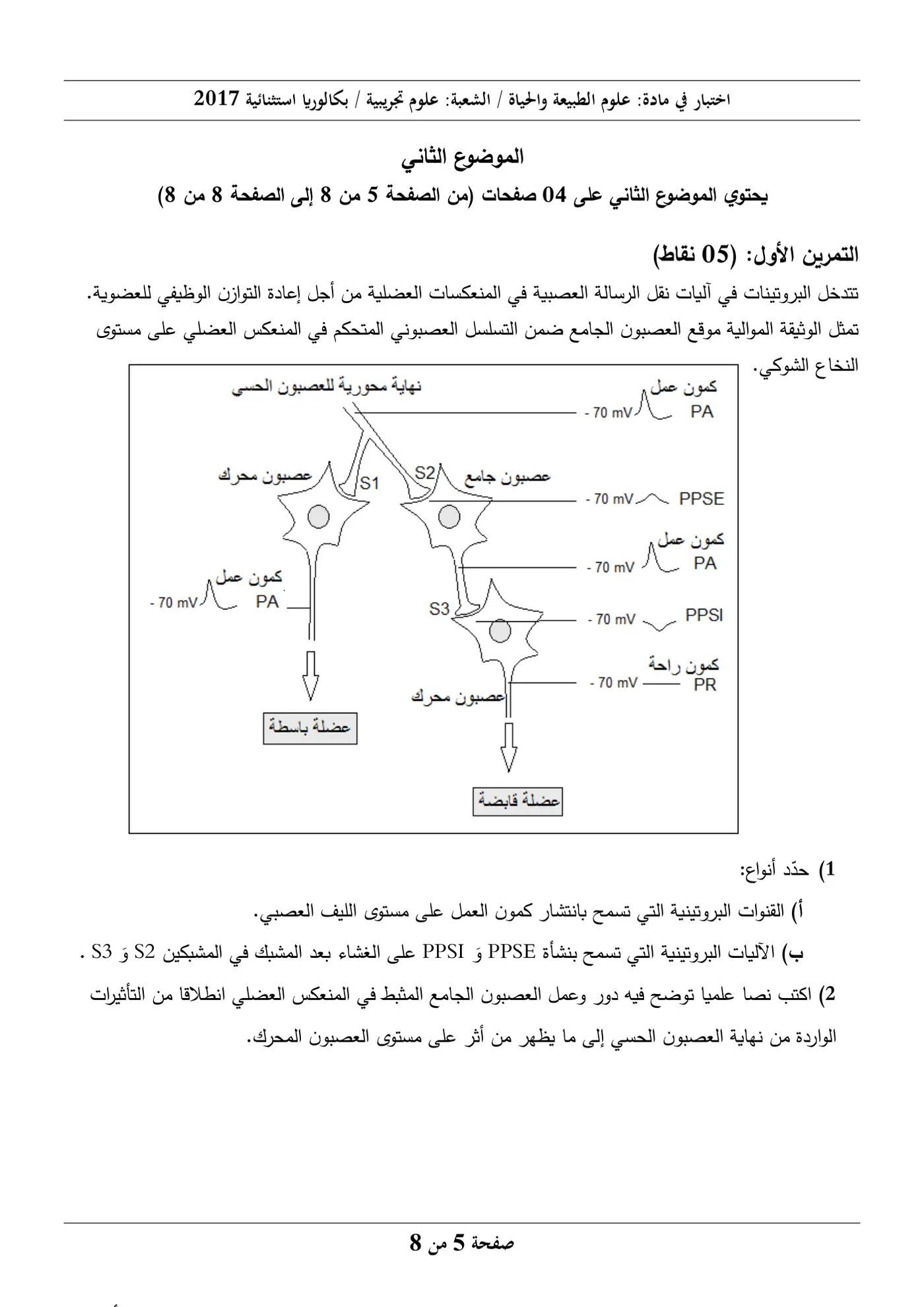 الصفحة 5 من 8