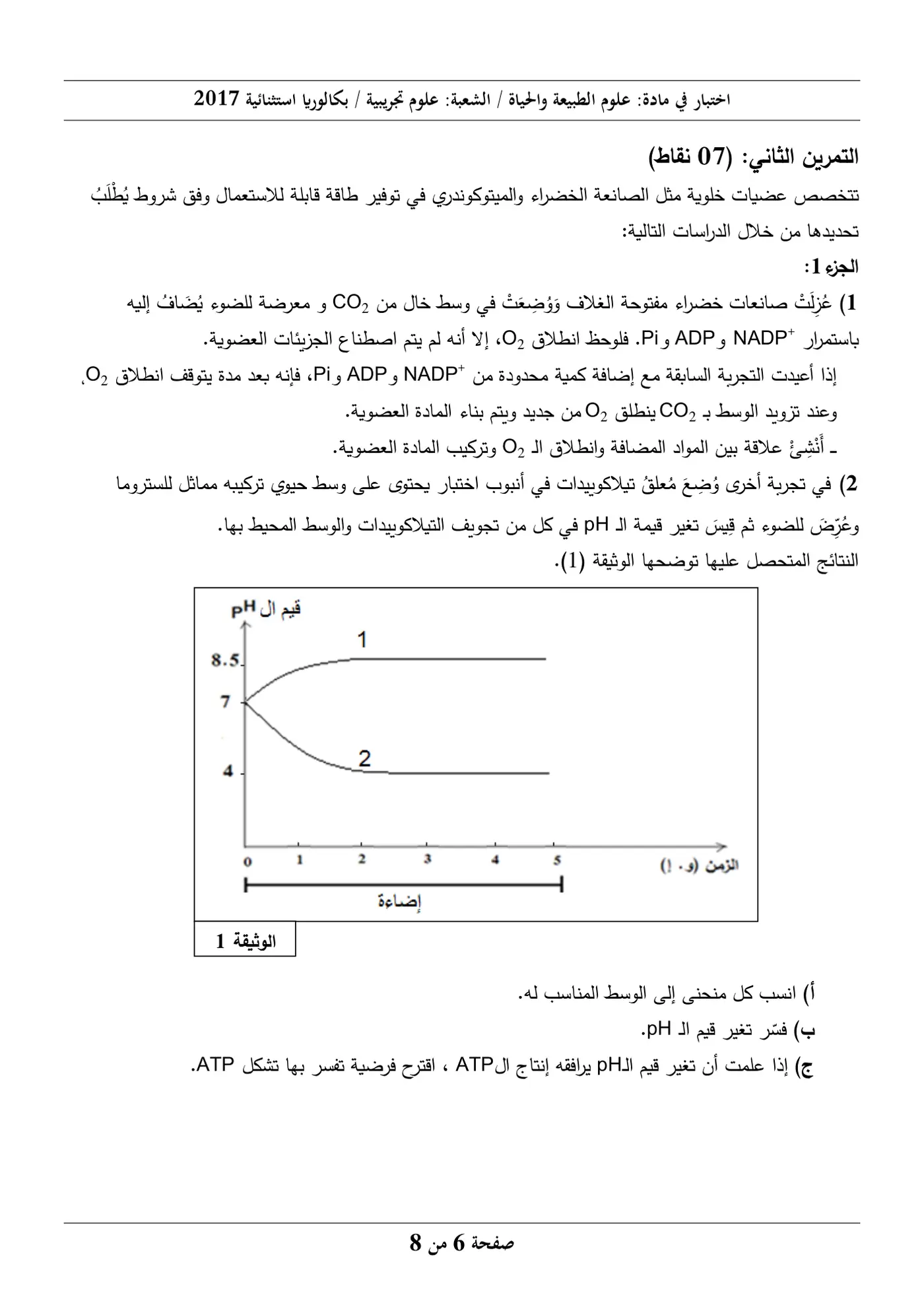 الصفحة 6 من 8