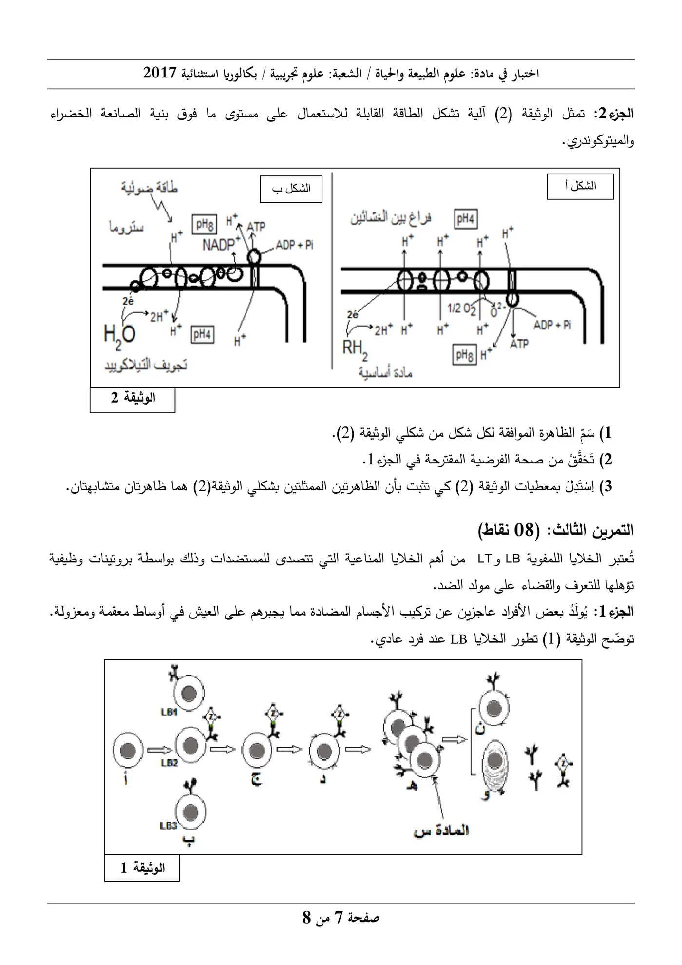الصفحة 7 من 8