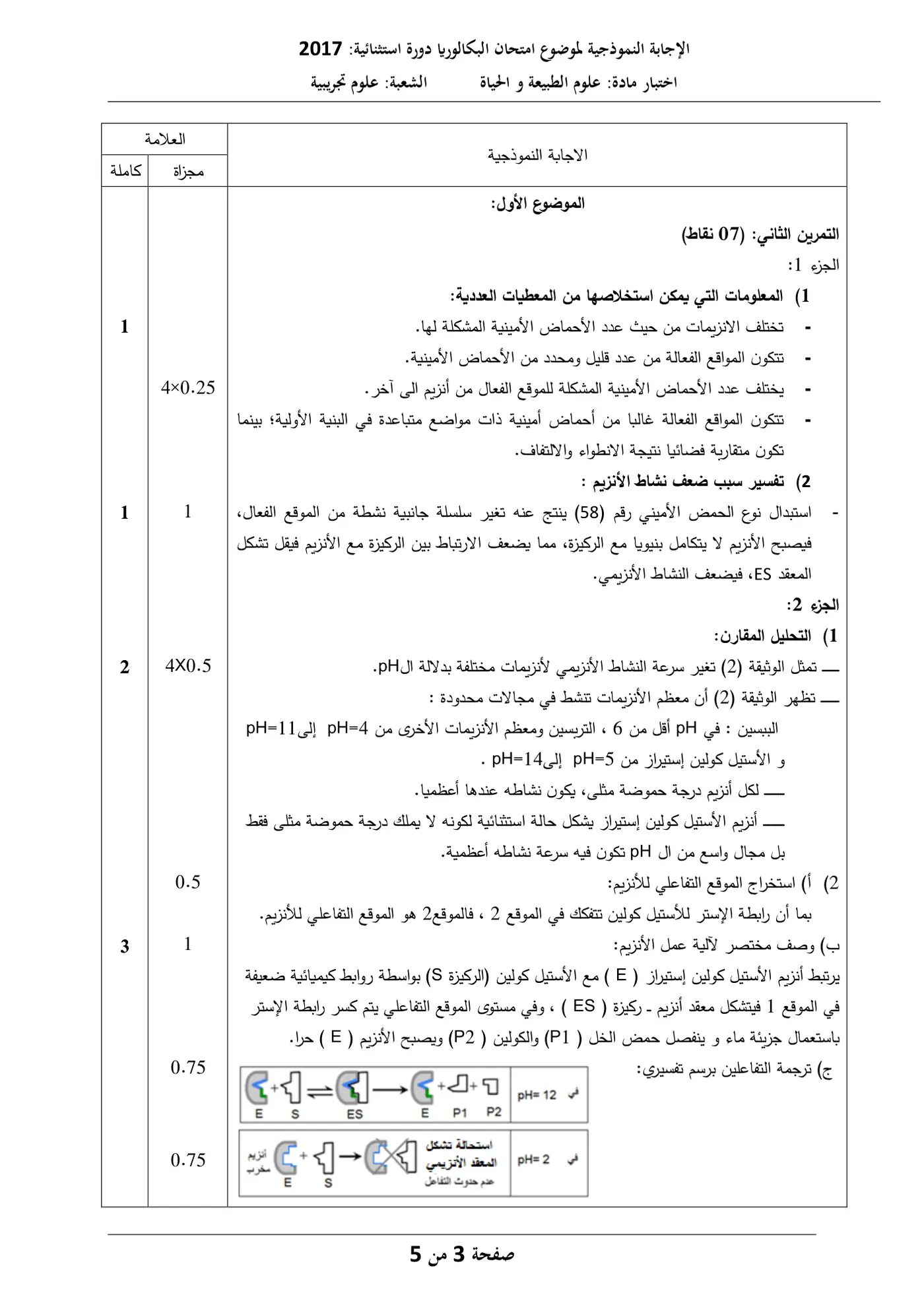الصفحة 3 من 10