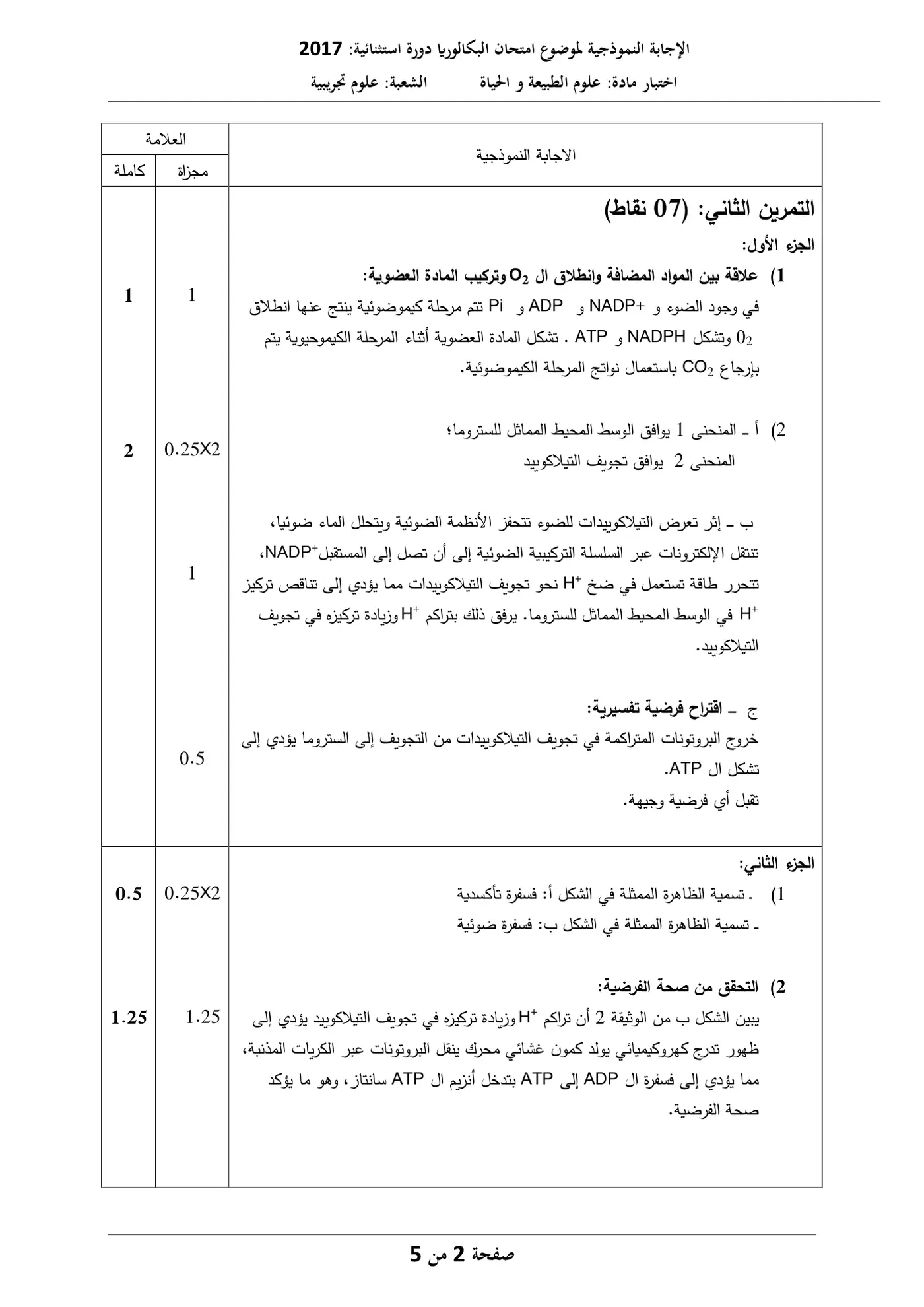 الصفحة 7 من 10